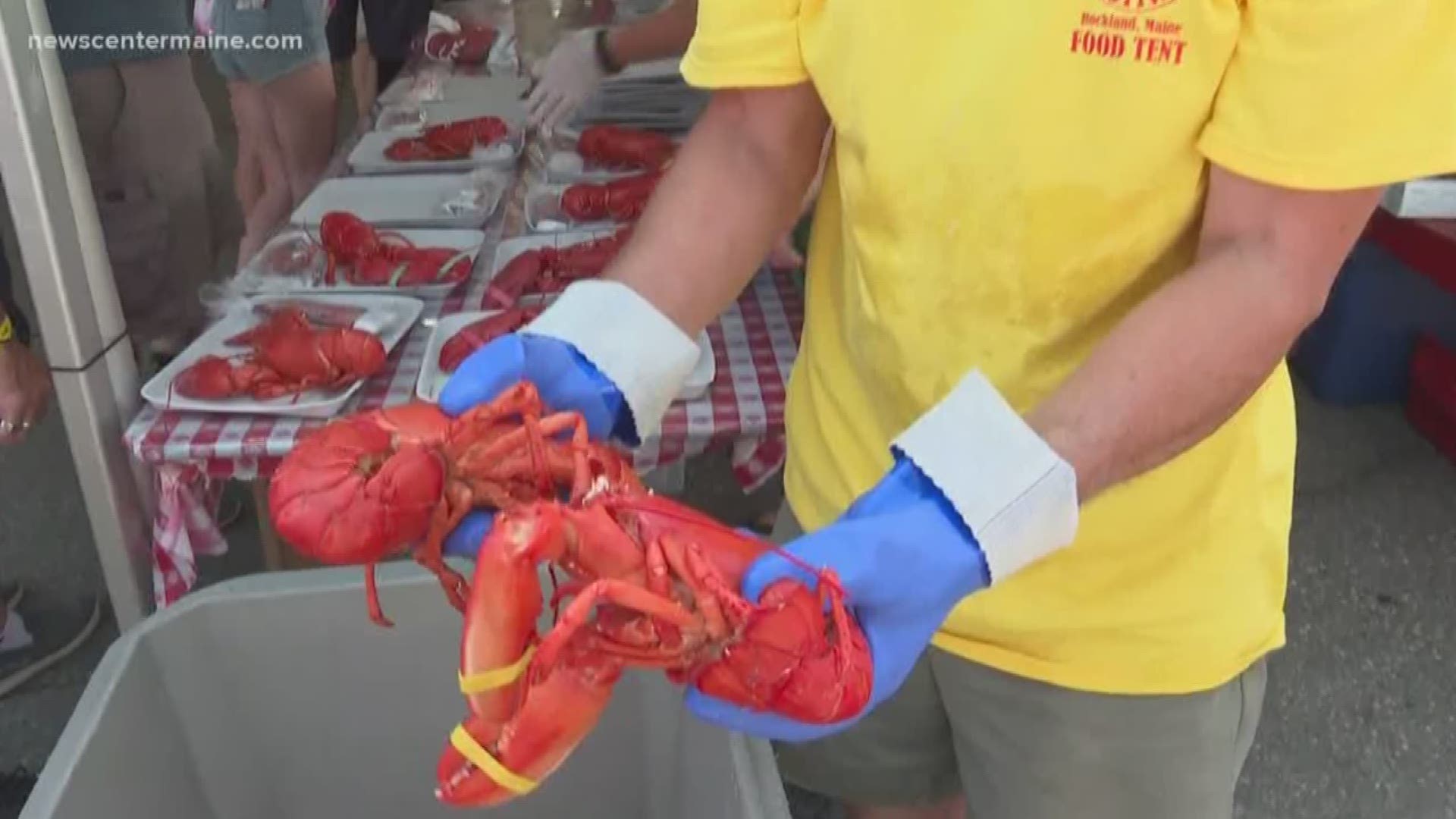 After the 'Maine Sea Goddess' was stripped from her title last year, the Lobster Festival in Rockland is establishing new policies.
