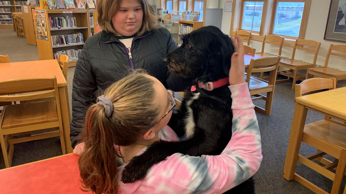 Selma Unified uses therapy dog named Jeter