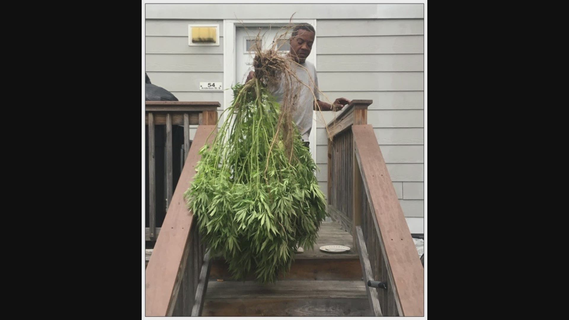 A Portland, Maine man woke up to realize his large pot plant had been stolen. He followed the trail of leaves and clumps of dirt until he found it.