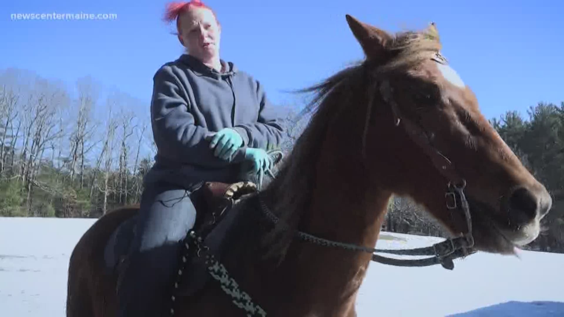 Trending Topics: Sometimes you just have to take your horse through a drive-thru