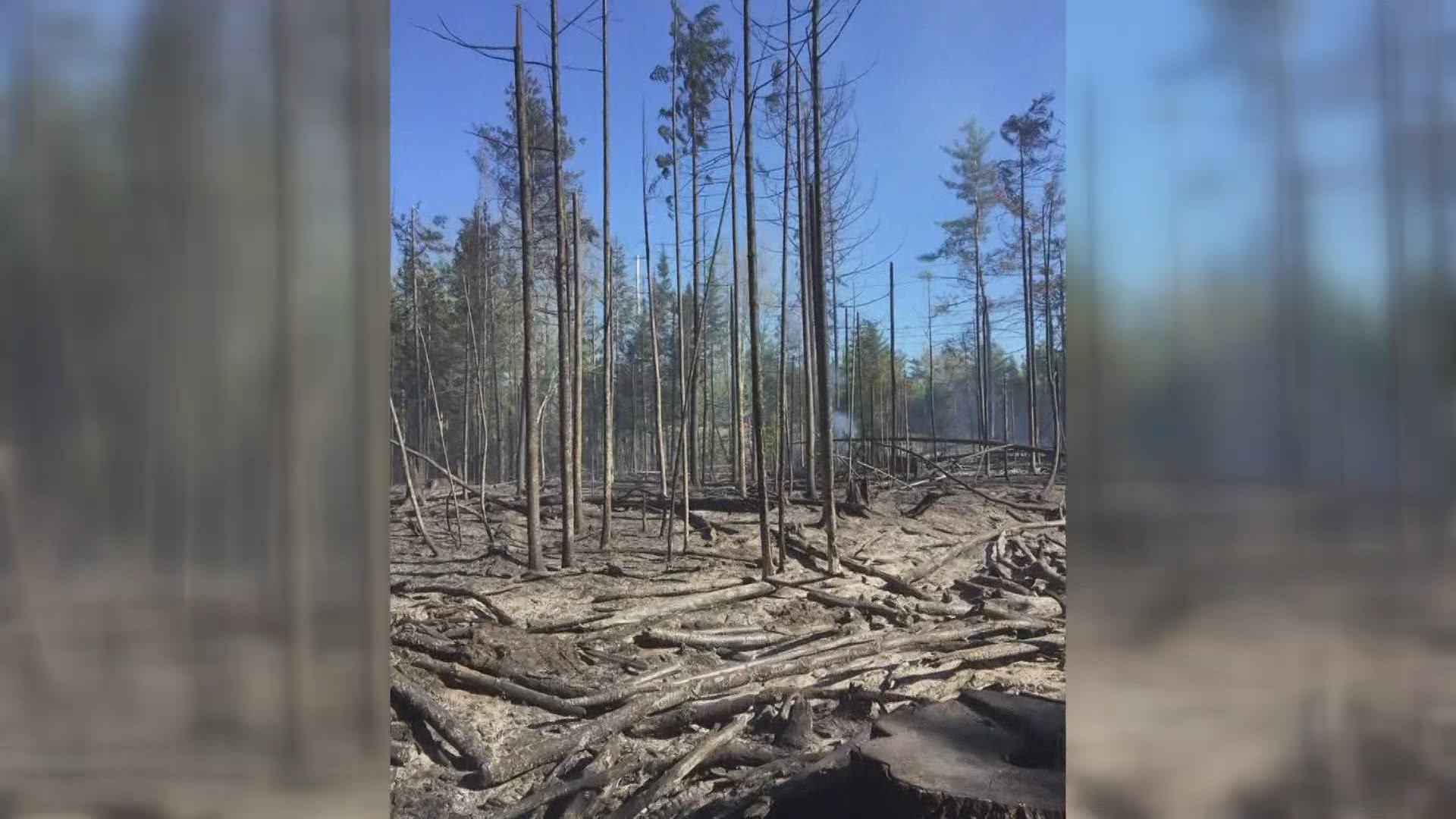 Over Memorial Day weekend alone, there were more than 50 wildfires across the state