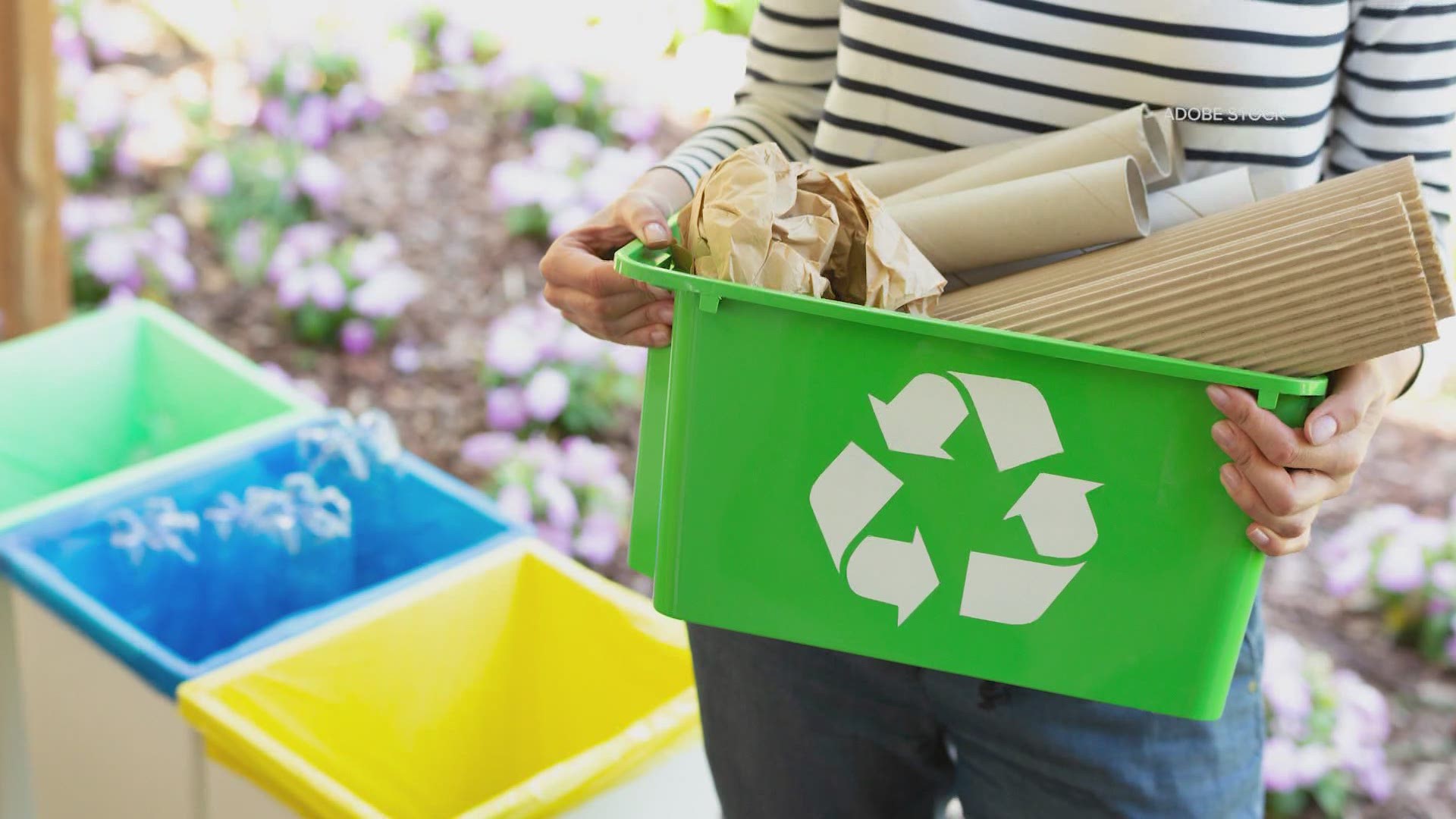 Simple sustainable swaps to be more eco-friendly after Earth Day ...