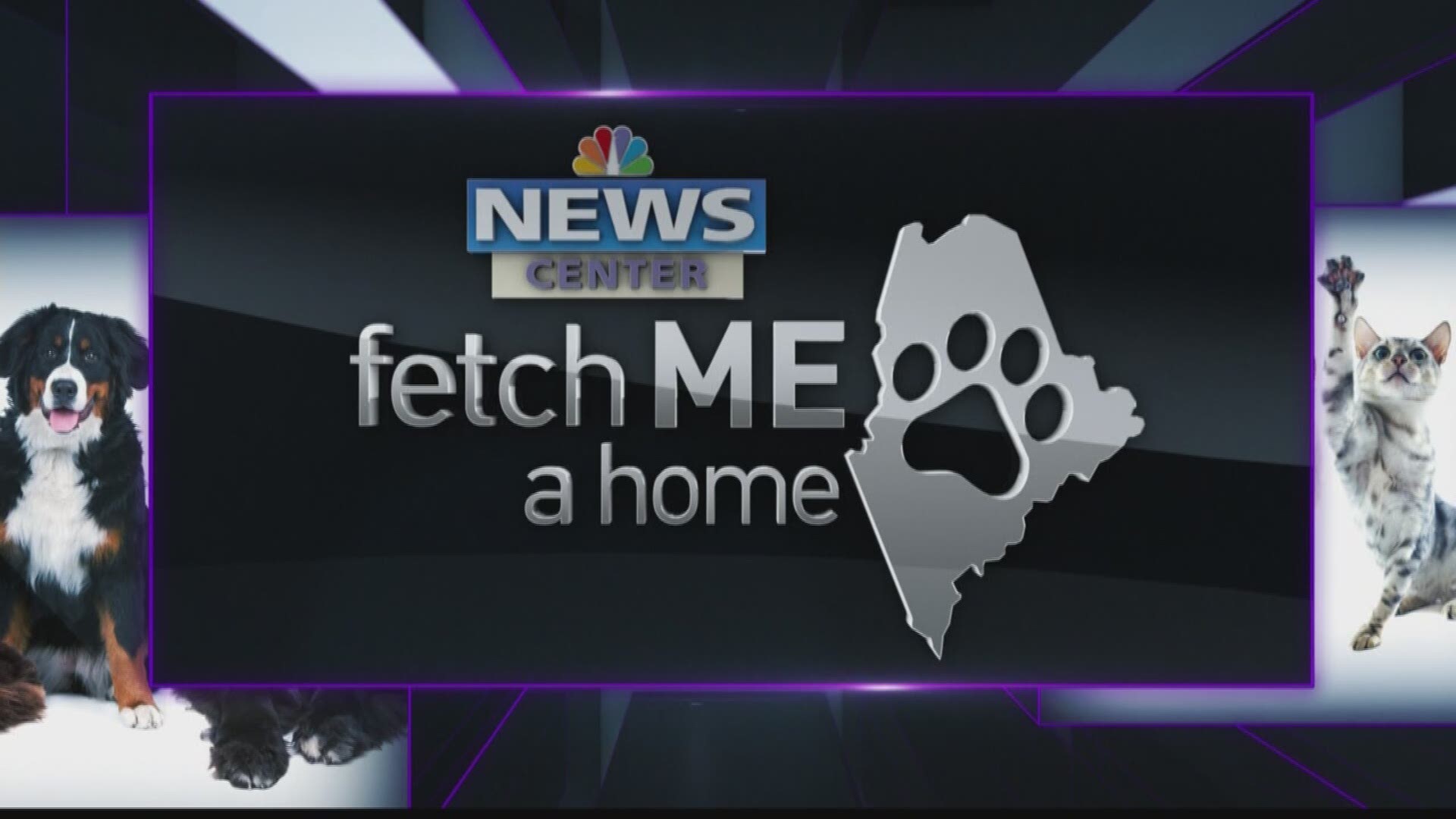 Fetch me a Home 3/4/2017