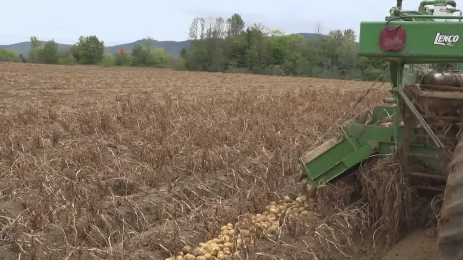 Maine potato harvest goes high-tech
