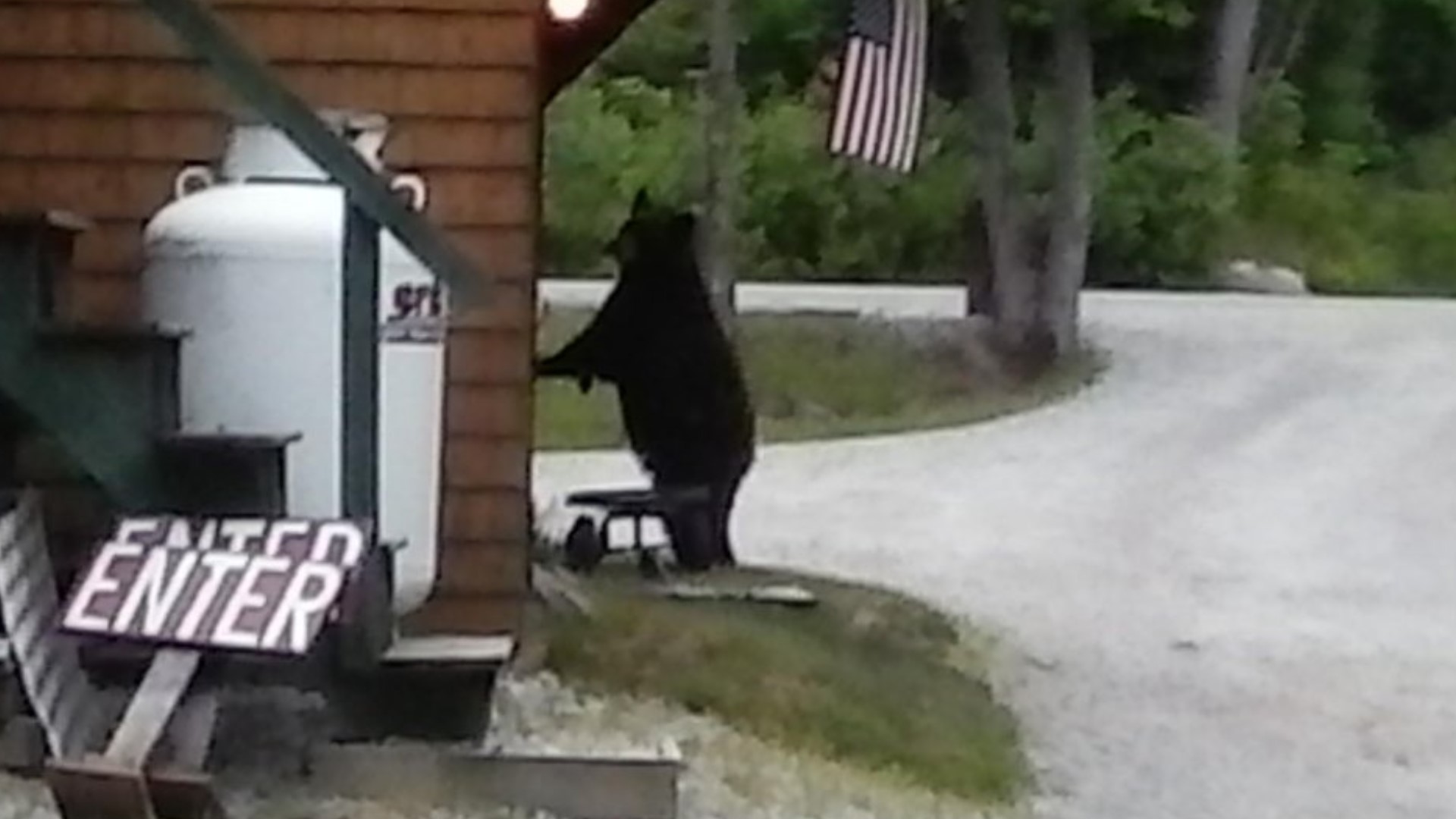 Maine family bakery thrives while selling on the honor system