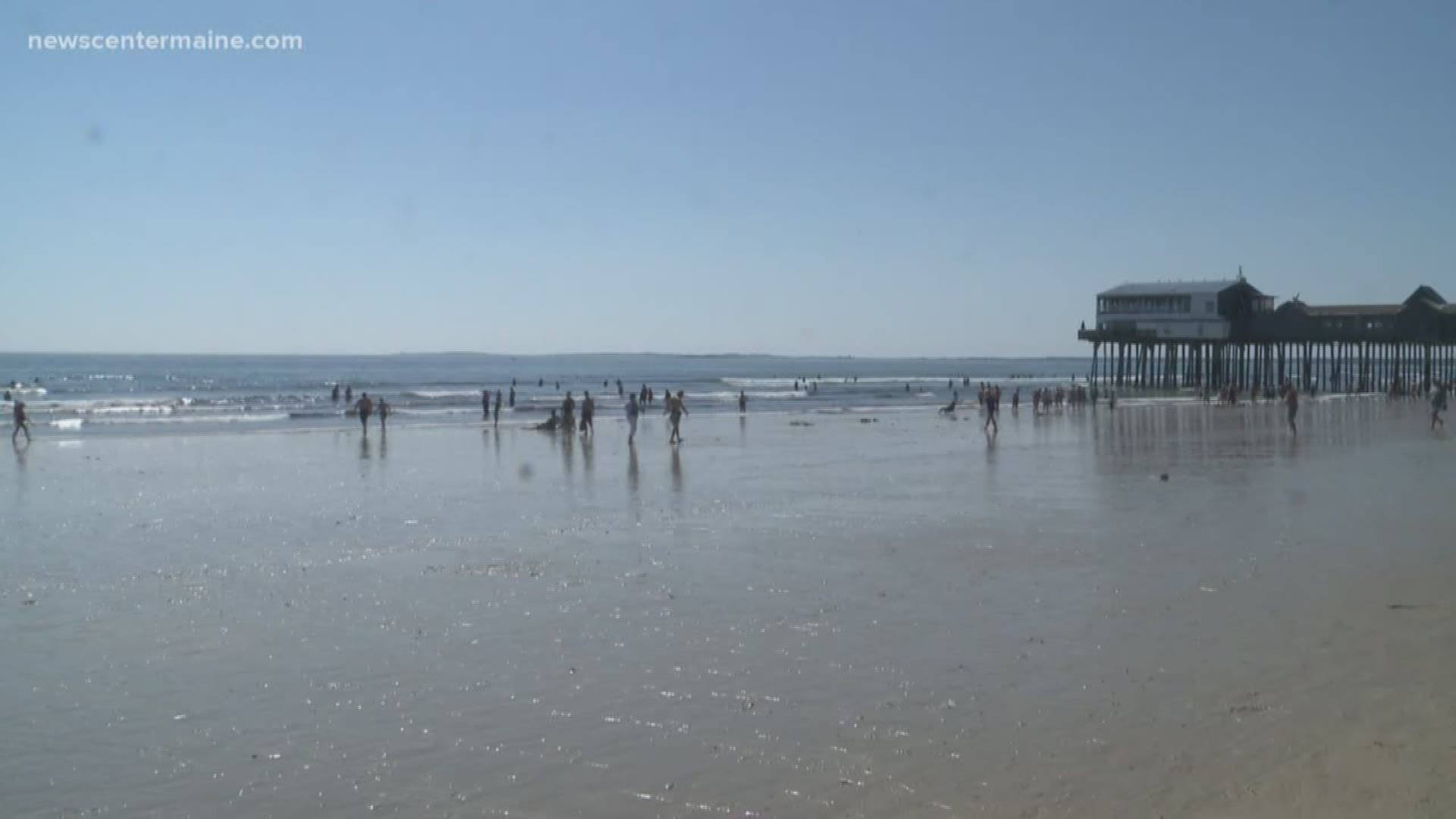 Hundreds more dead fish wash up on Old Orchard Beach newscentermaine