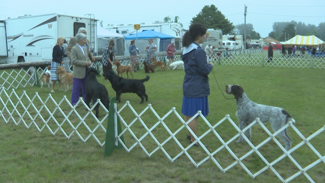 Maine's largest AKC dog show draws thousands