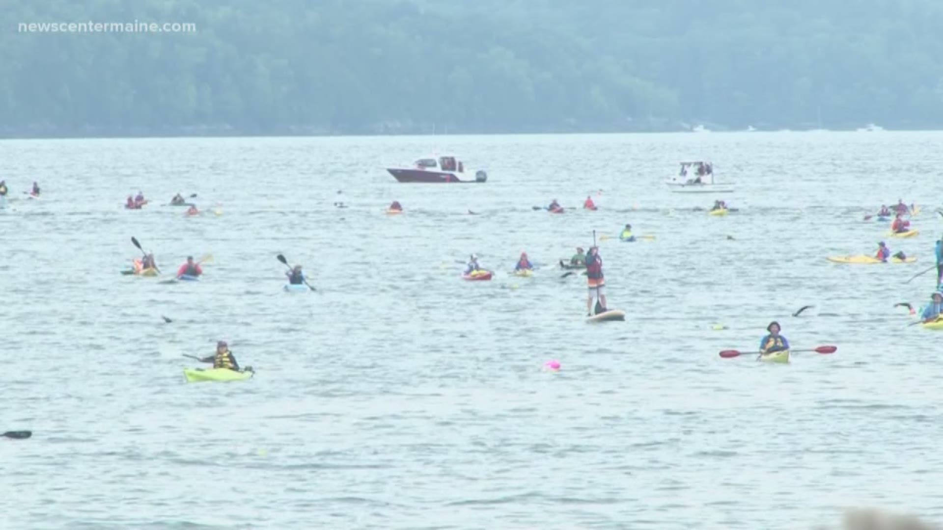 Swimmers take part in 6th annual Islesboro Crossing