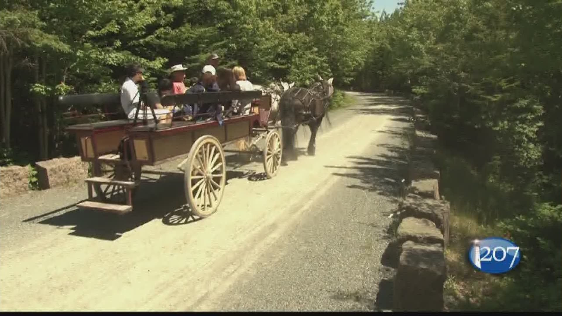 Carriages of Acadia celebrates park's 100th birthday and takes guests on a tour.