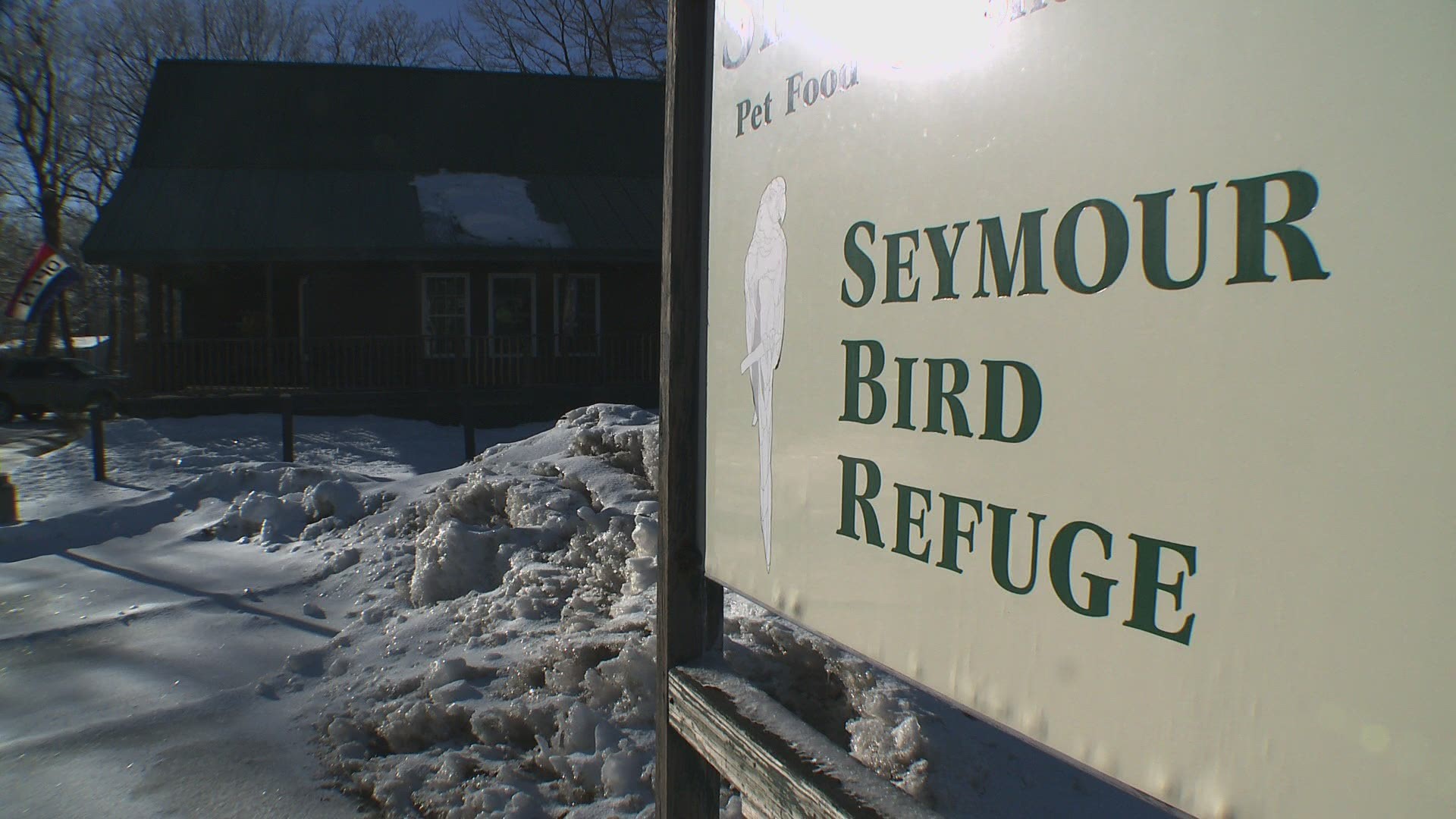 Saving Seymour's Bird Refuge