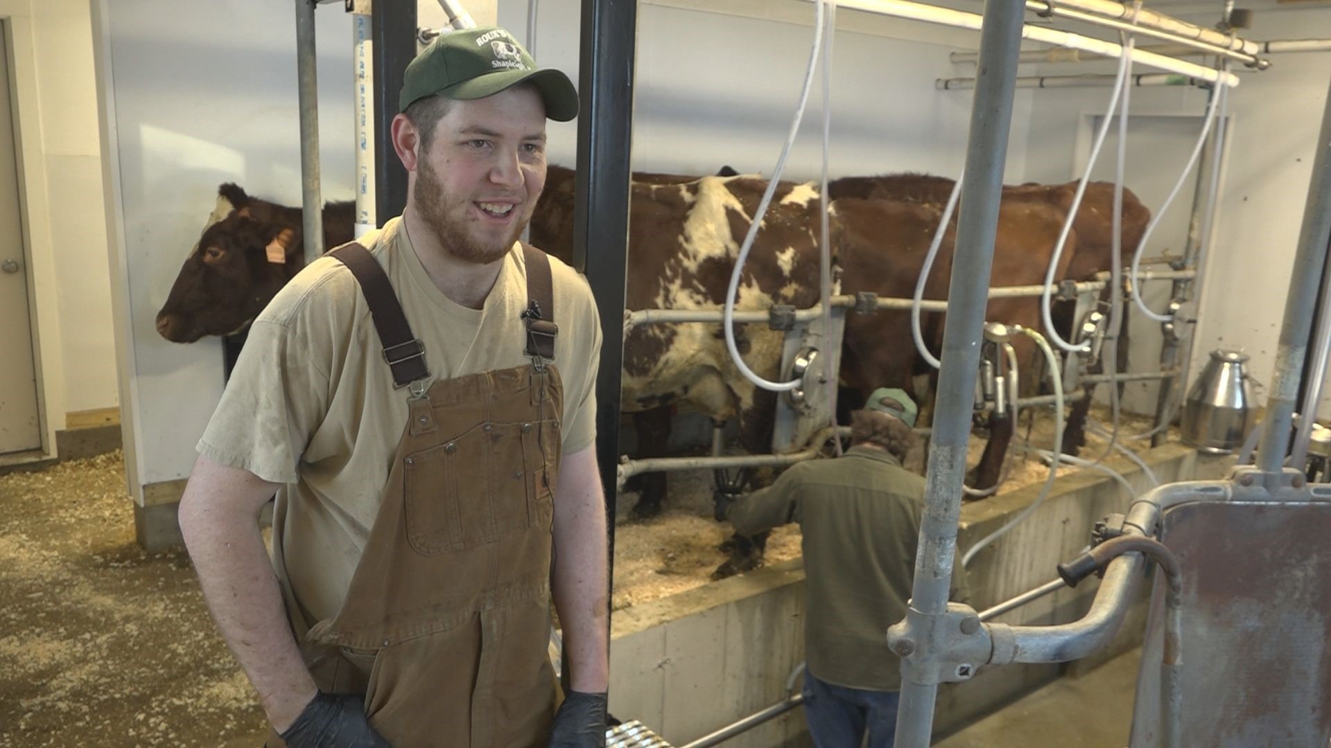 #startMEup: Young farmer 'milks' opportunity, takes risk ...