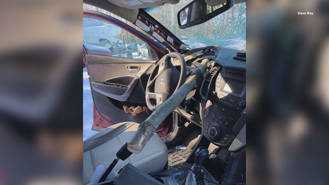 Maine couple injured when tree crashes through car windshield - Vimarsana News