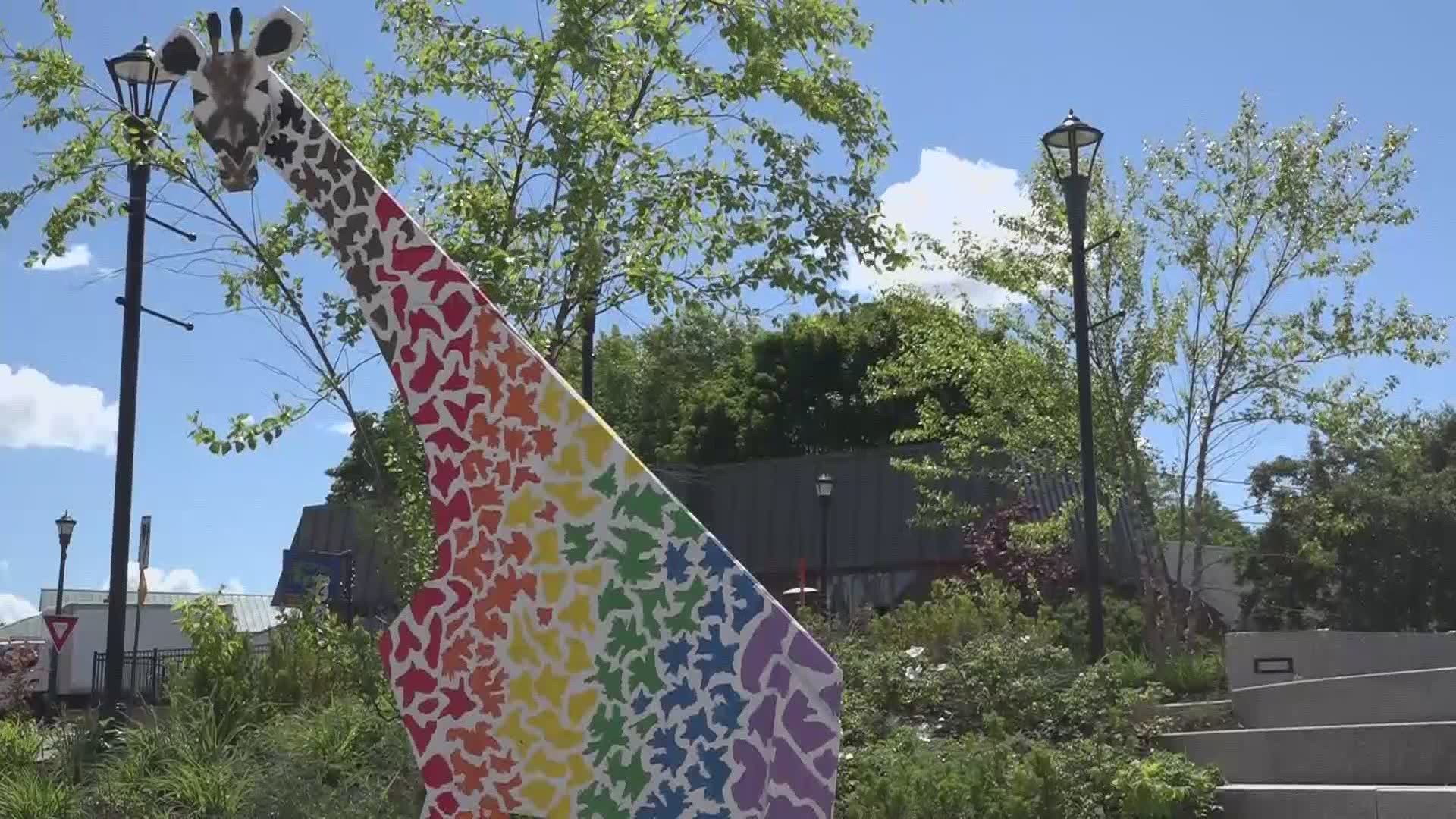 Colorful animal sculptures in Downtown Orono are honoring Pride Month and raising awareness.
