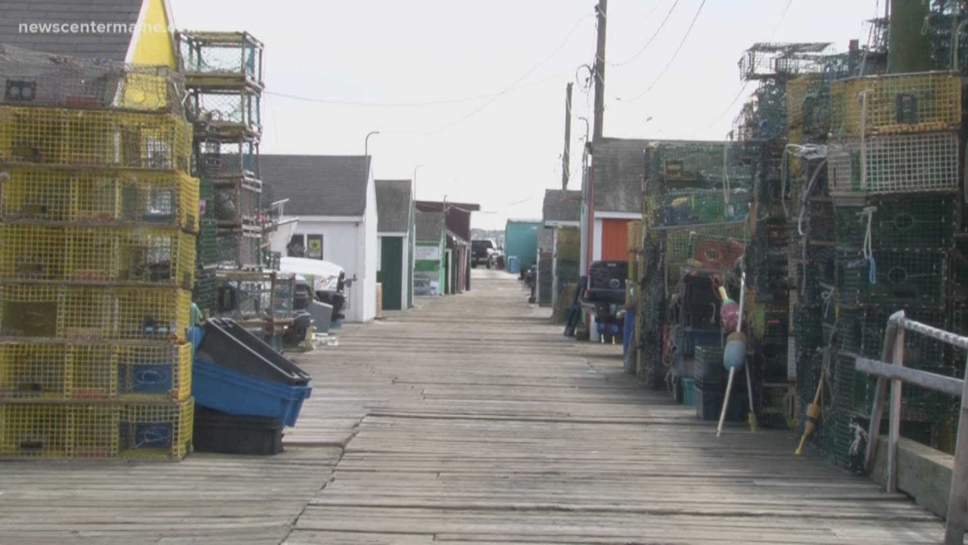 The Maine International Trade Center is surveying lobstermen in the state, who've told them they are being pinched by tariffs on lobster exported to China, and by steel and aluminum taxes on lobster traps.