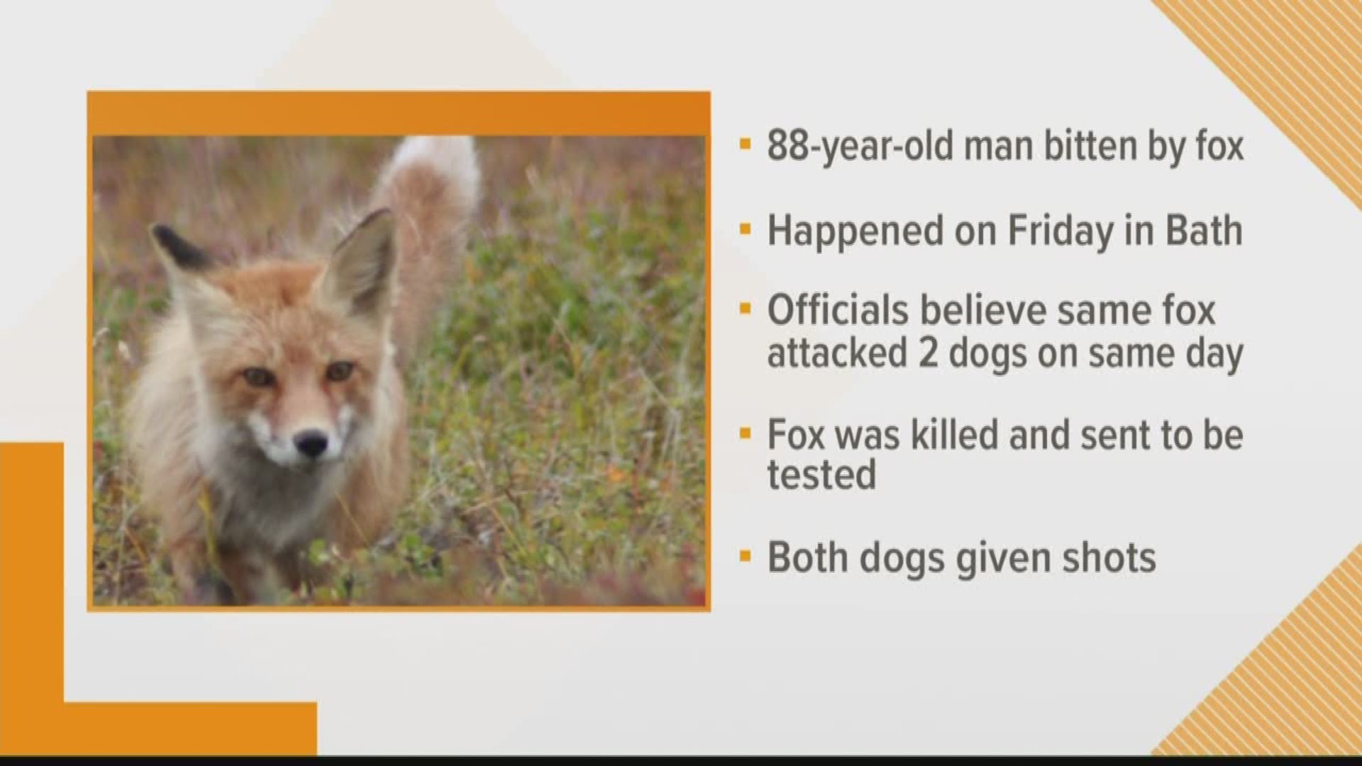 An 88-year-old man from Bath is waiting for test results on a fox that bit him in the face.
