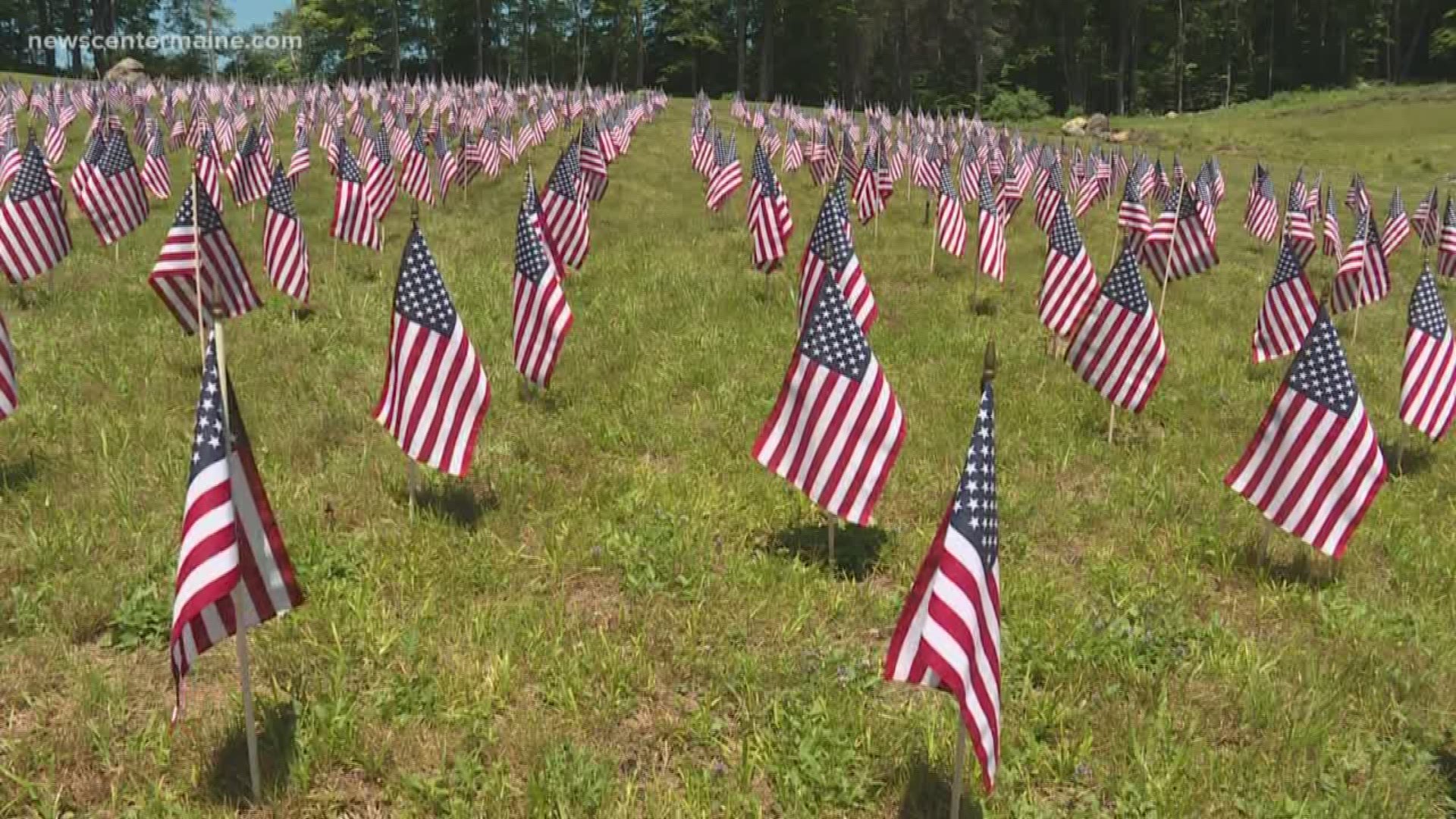 Flags honor soldiers struggling with PTSD