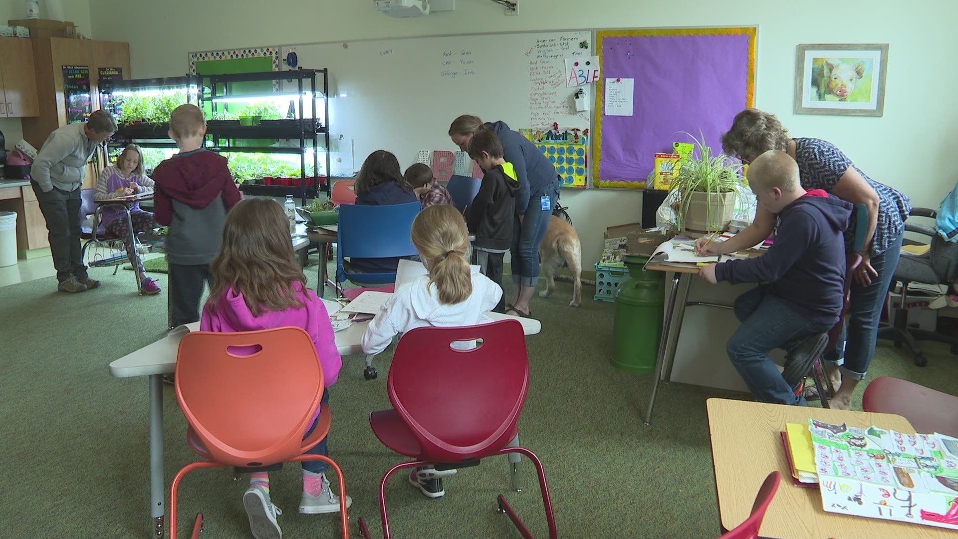 Third and fourth graders at Molly Ockett School in Fryeburg have been taking part in the ABLE class, which stands for Agricultural Based Learning Environment.