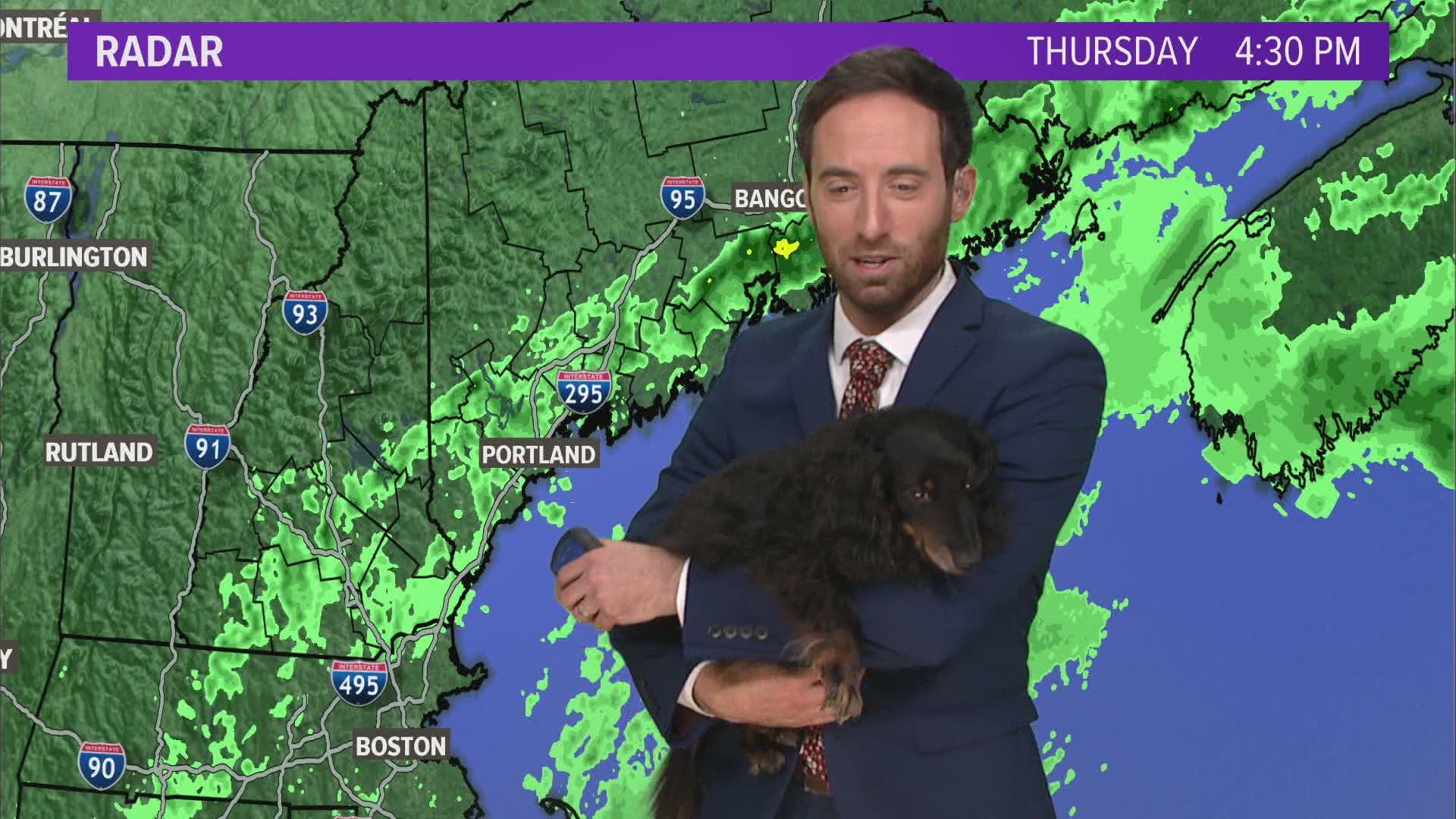 Keith Carson's and his dachshund forecast November weather