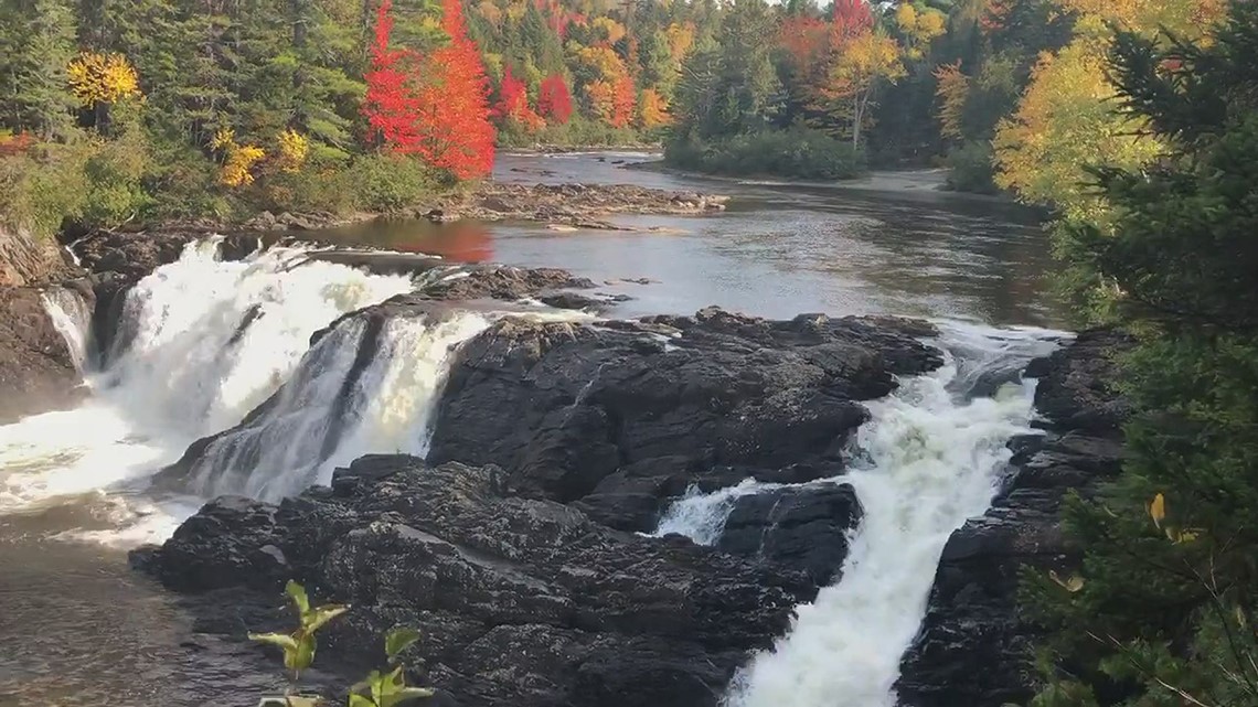 foliage at Grand Falls, Maine