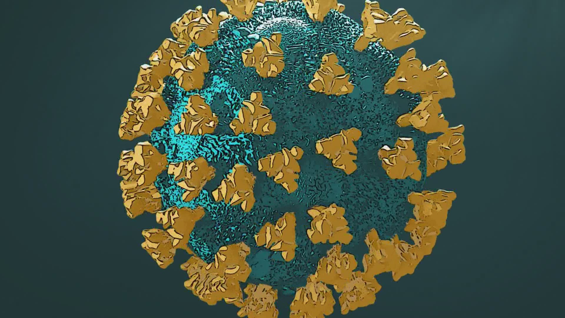 Researchers know you the virus spreads and infects the human body. This explains how COVID-19 replicates itself.