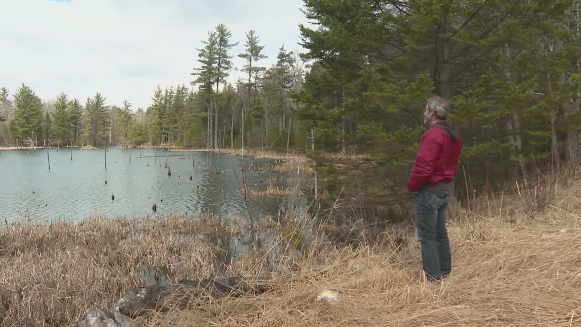 A Breath of Fresh Air 'Boggy Beaver Pond' in Farmington, Maine