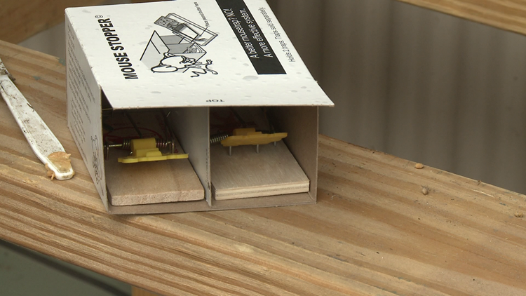 Build a better Mousetrap, Build the Yooper mousetrap