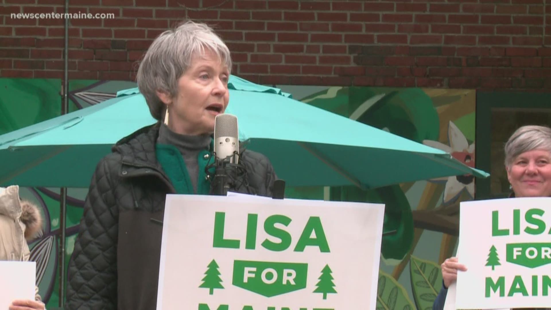The Maine Green Independent Party finds a standard bearer in Lisa Savage for the 2020 U.S. Senate race against Susan Collins and a field of four Democrats.