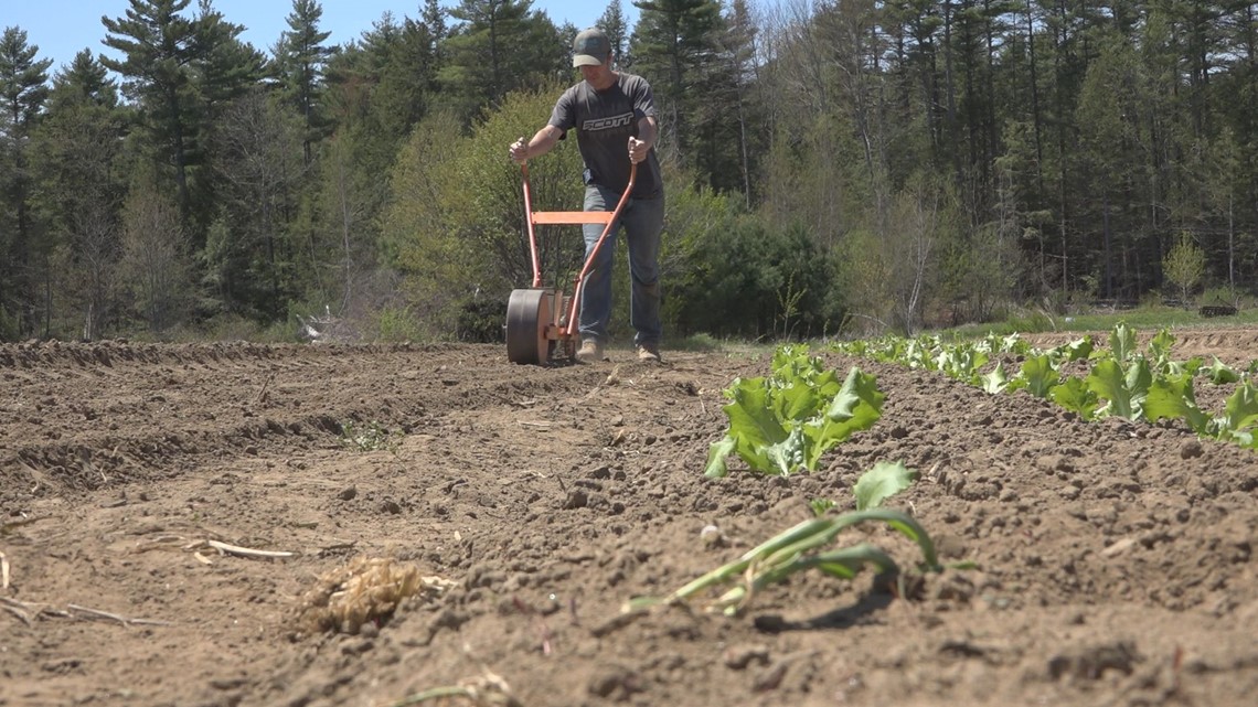 Preventing contamination in your garden | newscentermaine.com