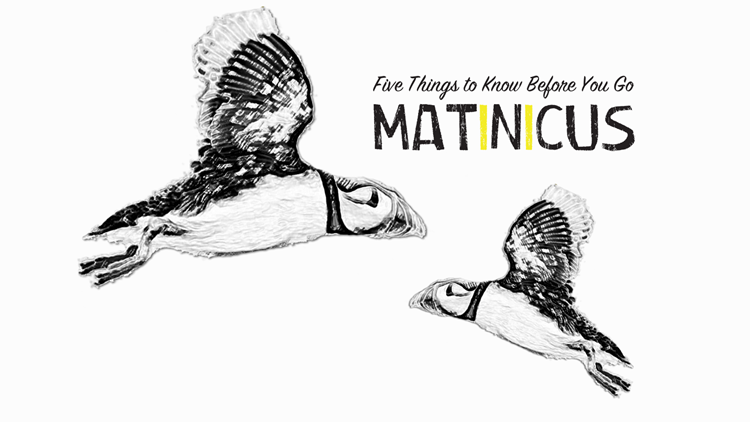 Matincus: 5 things to know before you go