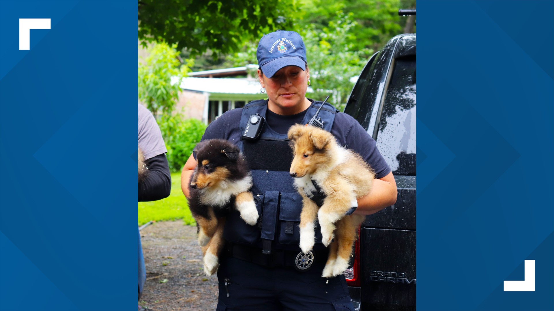 Site of Solon animal rescue is a breeding business, officials confirm