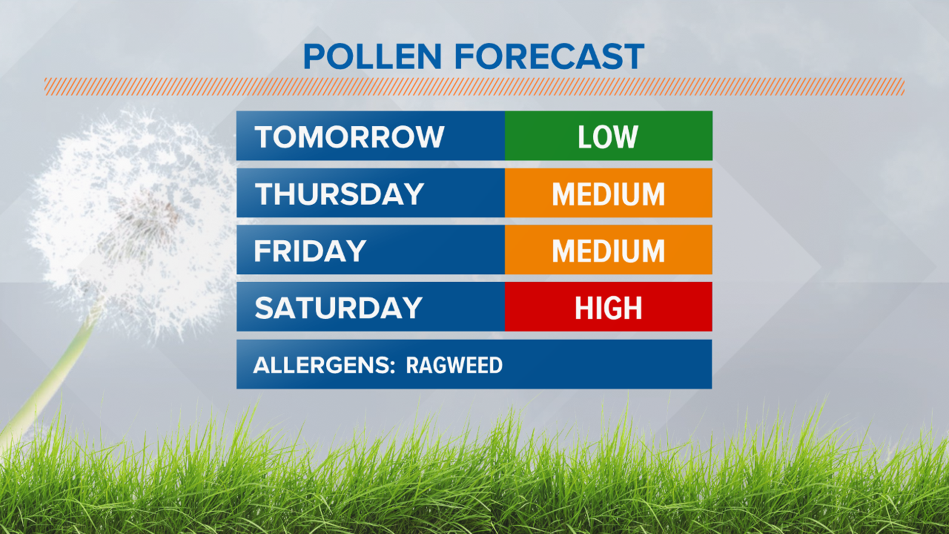 Seasonal allergy sufferers are now dealing with ragweed, known as the main allergen from late summer through the first frost.