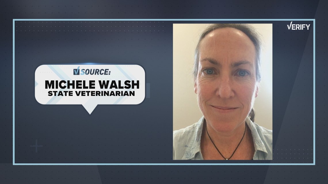 VERIFY: Does Maine have more rabies cases than usual? | newscentermaine.com