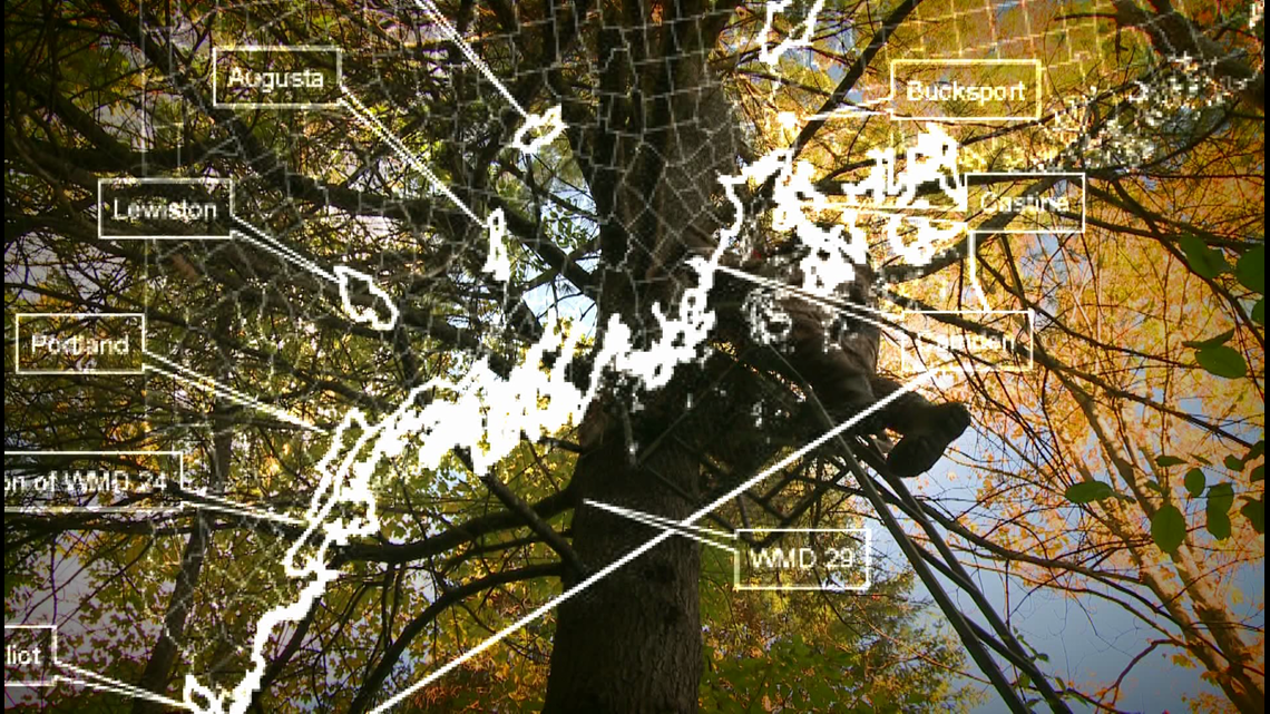 Traditional archery season begins in Maine woods