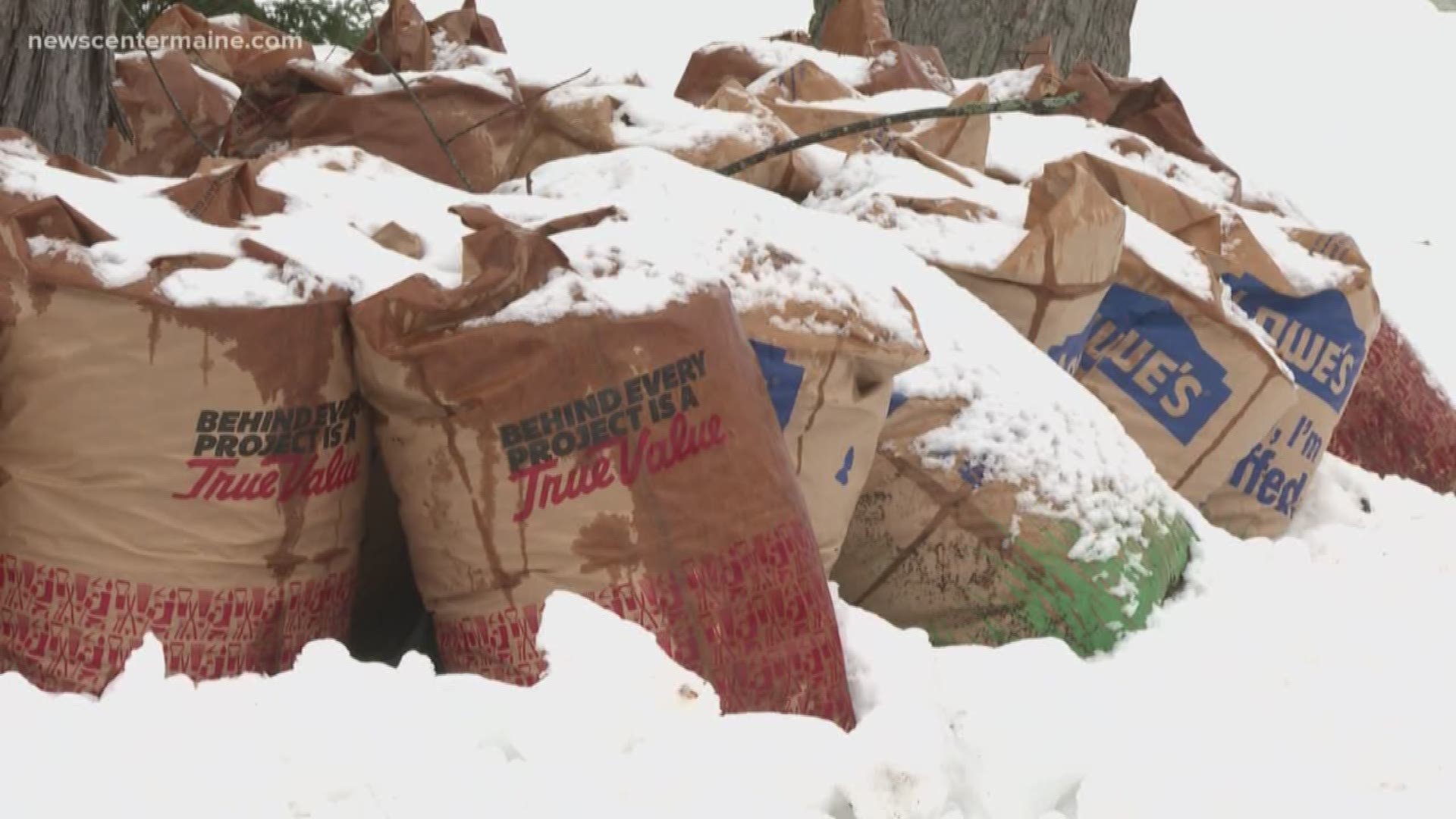 Early snow season's effect on fall cleanup