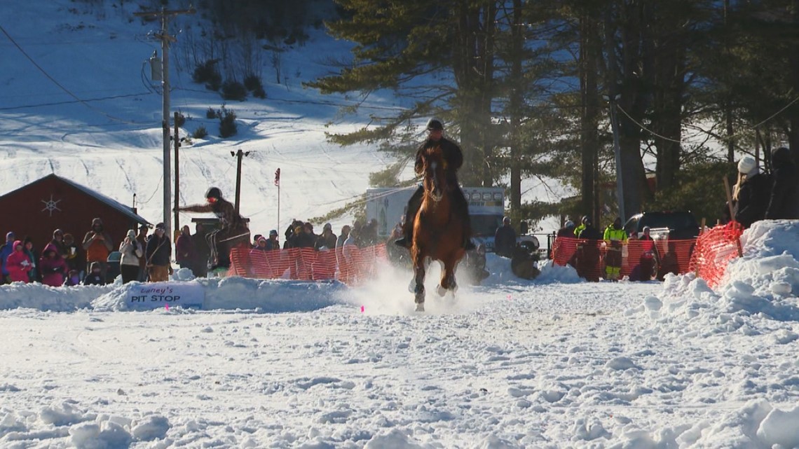 Horses pulling Maine skiers is always fun! Skijoring takes over