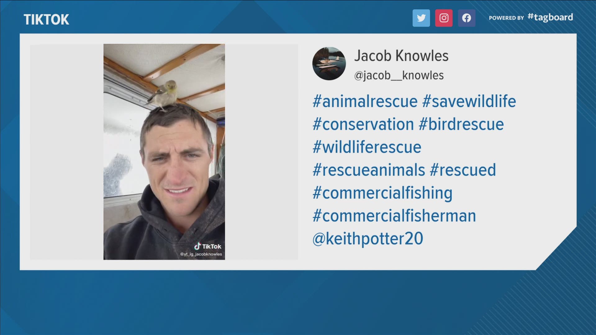 Maine fisherman Jacob Knowles viral on tiktok saves bird rescue