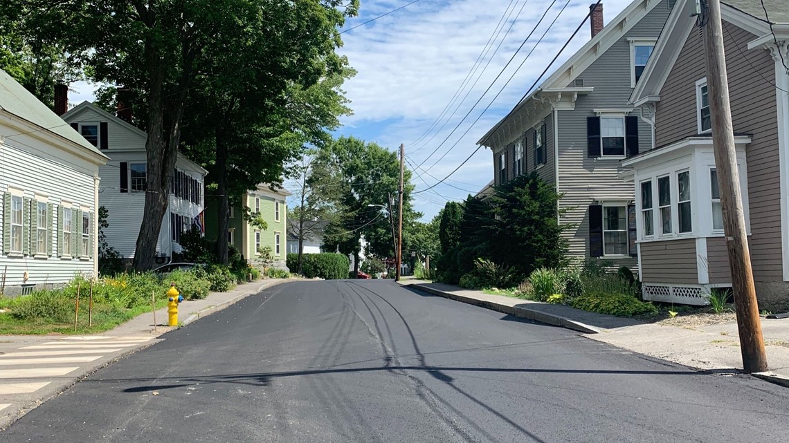 Bath residents concerned over rabies cases