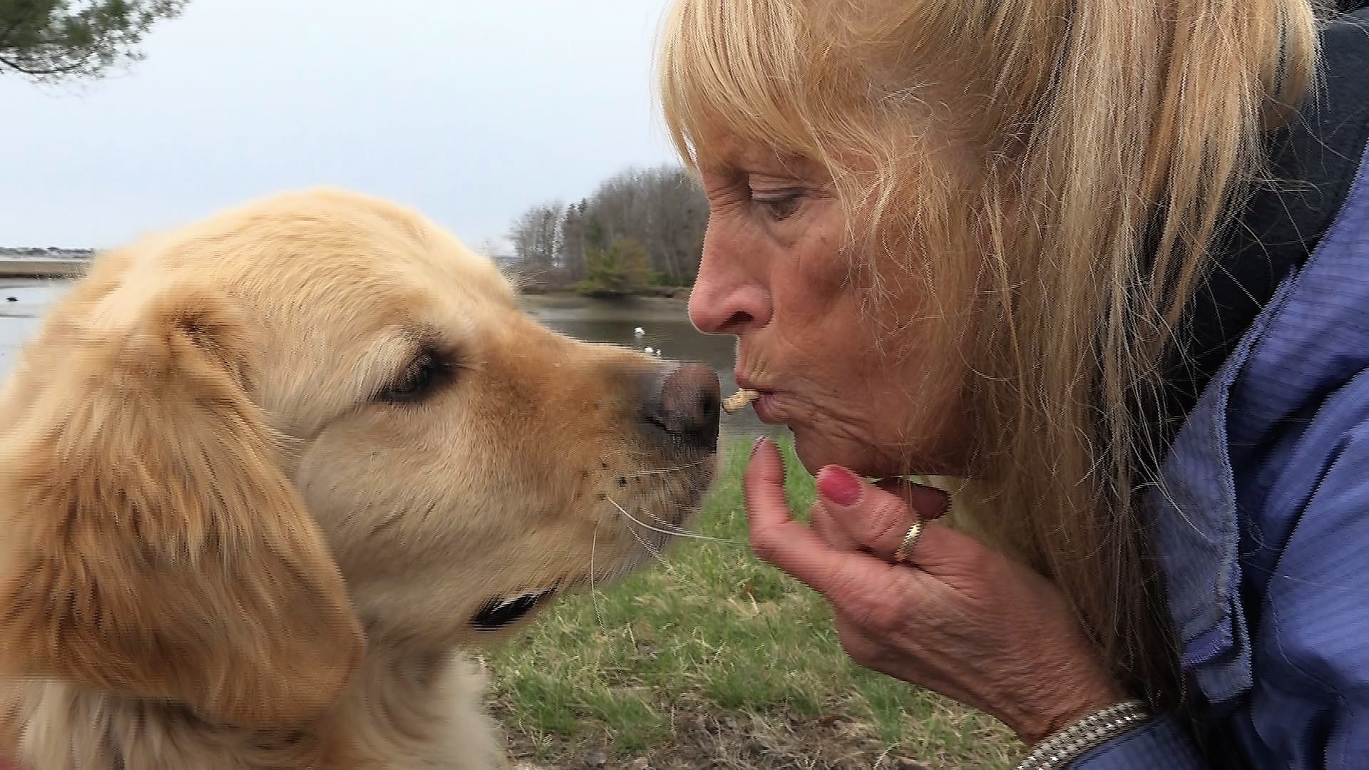 When Dianne Farr-Brady isn't hard at work helping those struggling with addiction, she finds peace and extra cash walking dogs through the Wag! app.