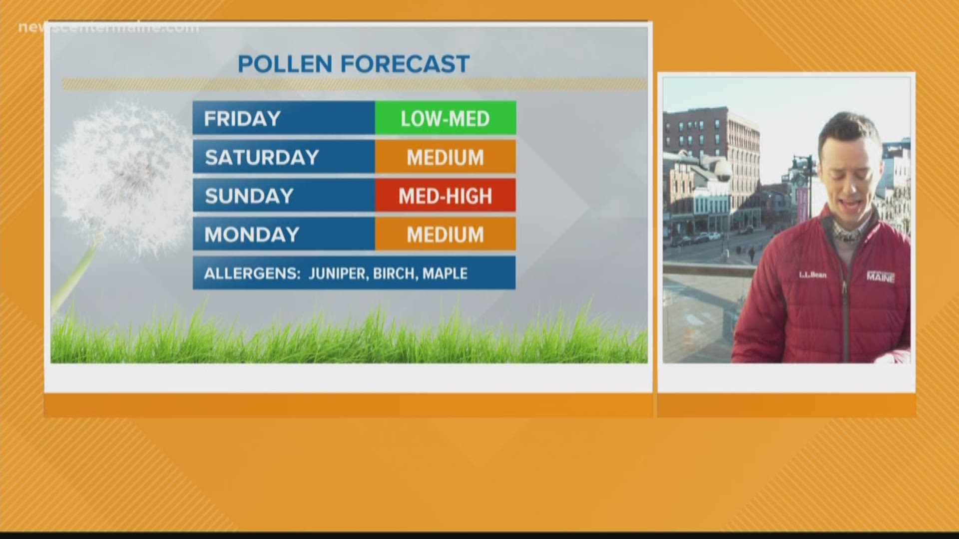 Along with the good weather comes rising pollen levels. Cory Froomkin breaks down the coming weekend pollen count.