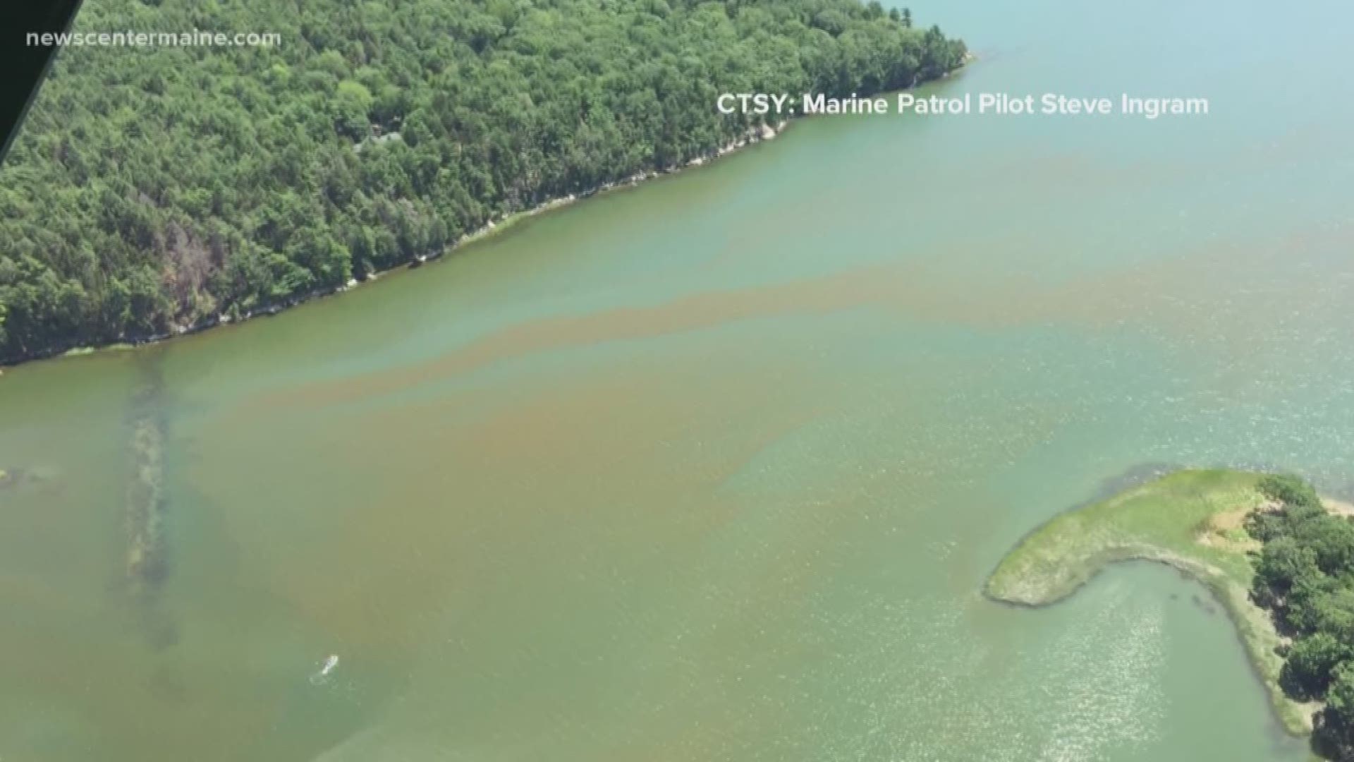 Phytoplankton bloom in Casco Bay region