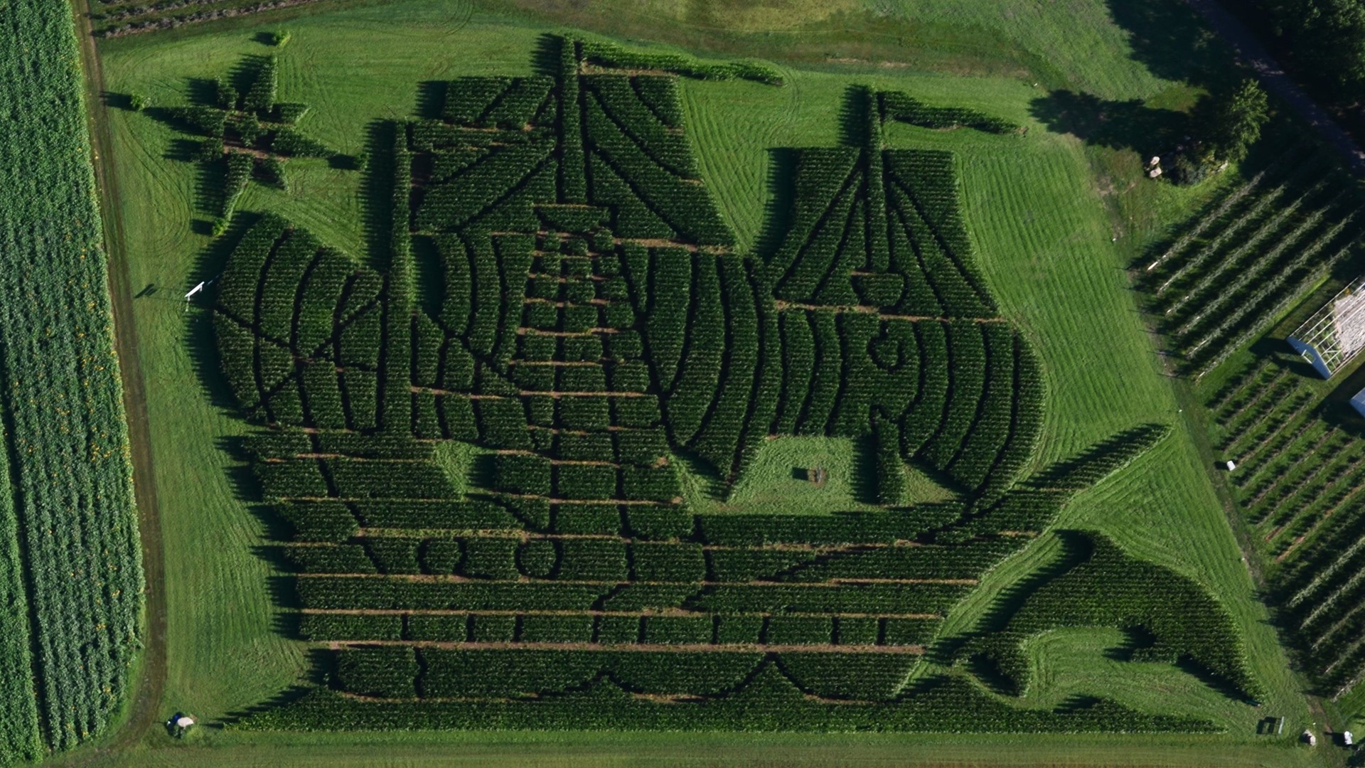 Maine corn maze ranked No. 1 in nation by USA Today