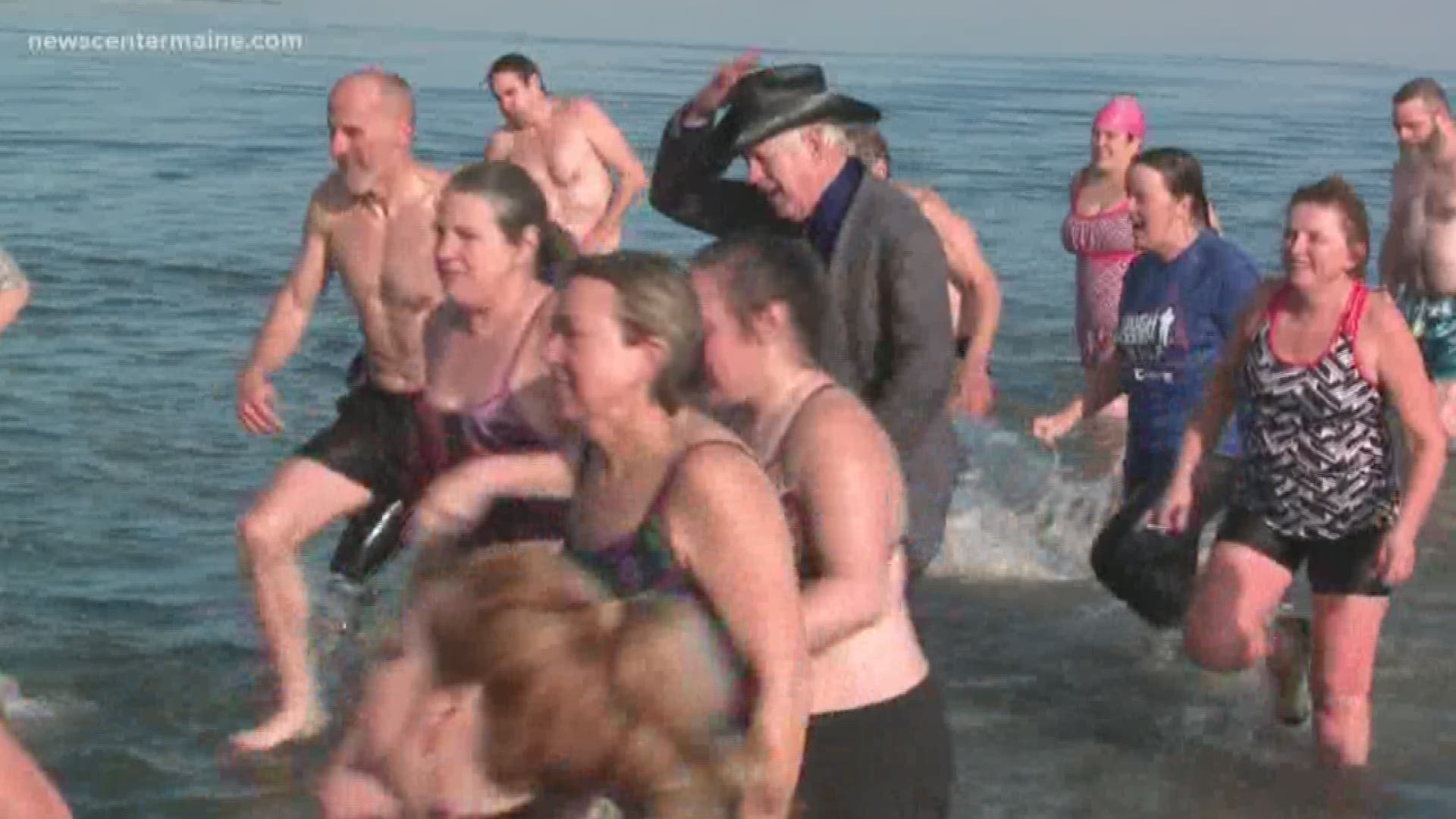 New Year's Eve plunge raises money for environmental causes