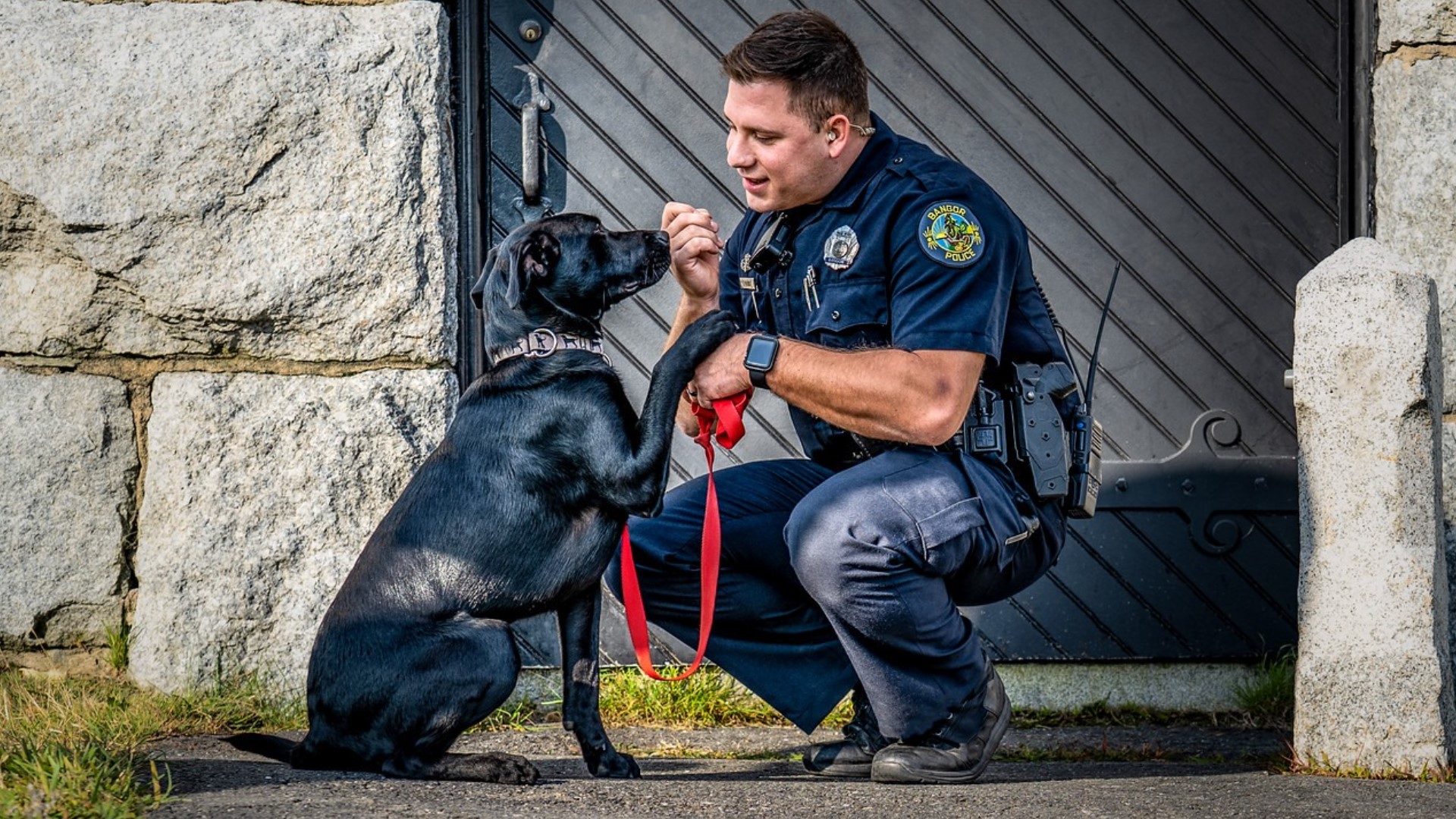 Bangor PD poses with pets for 2021 calendar