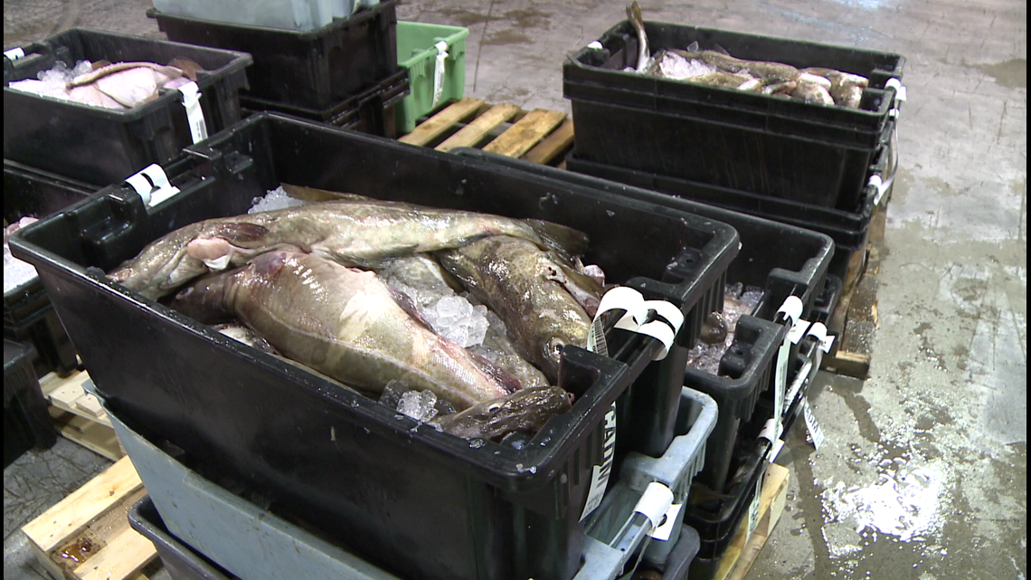 Fishing quotas for cod, haddock to get a boost next year