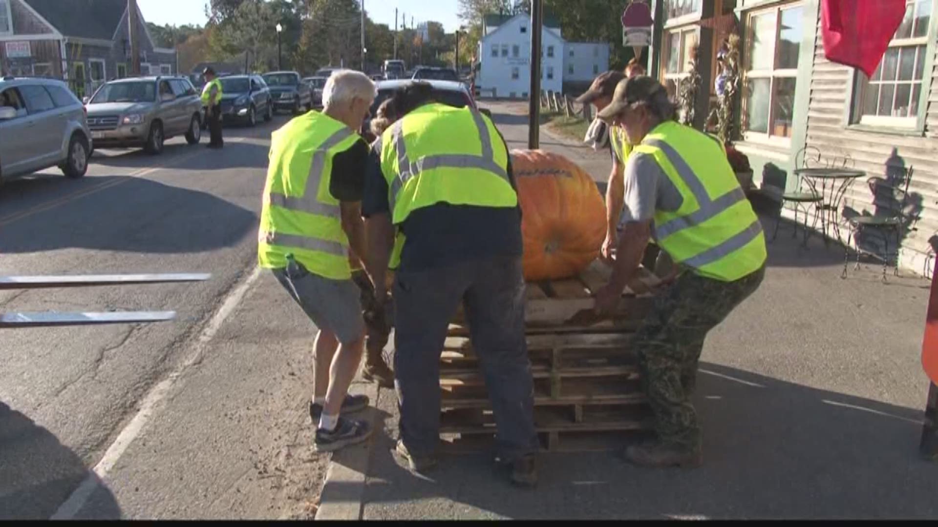 Volunteers distributed 71 giant pumpkins along Main Street in Damariscotta to be decorated by artists for the Damariscotta Pumpkinfest and Regatta. 