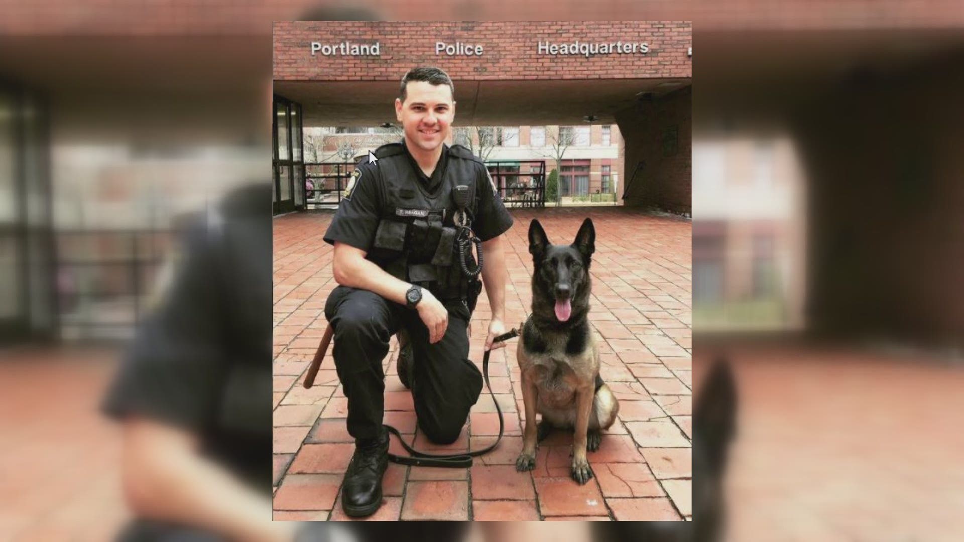 Portland Police Department honored the life of retired K-9, Trixie. She lived with her handler Officer Reagan in retirement but was diagnosed with cancer in October.