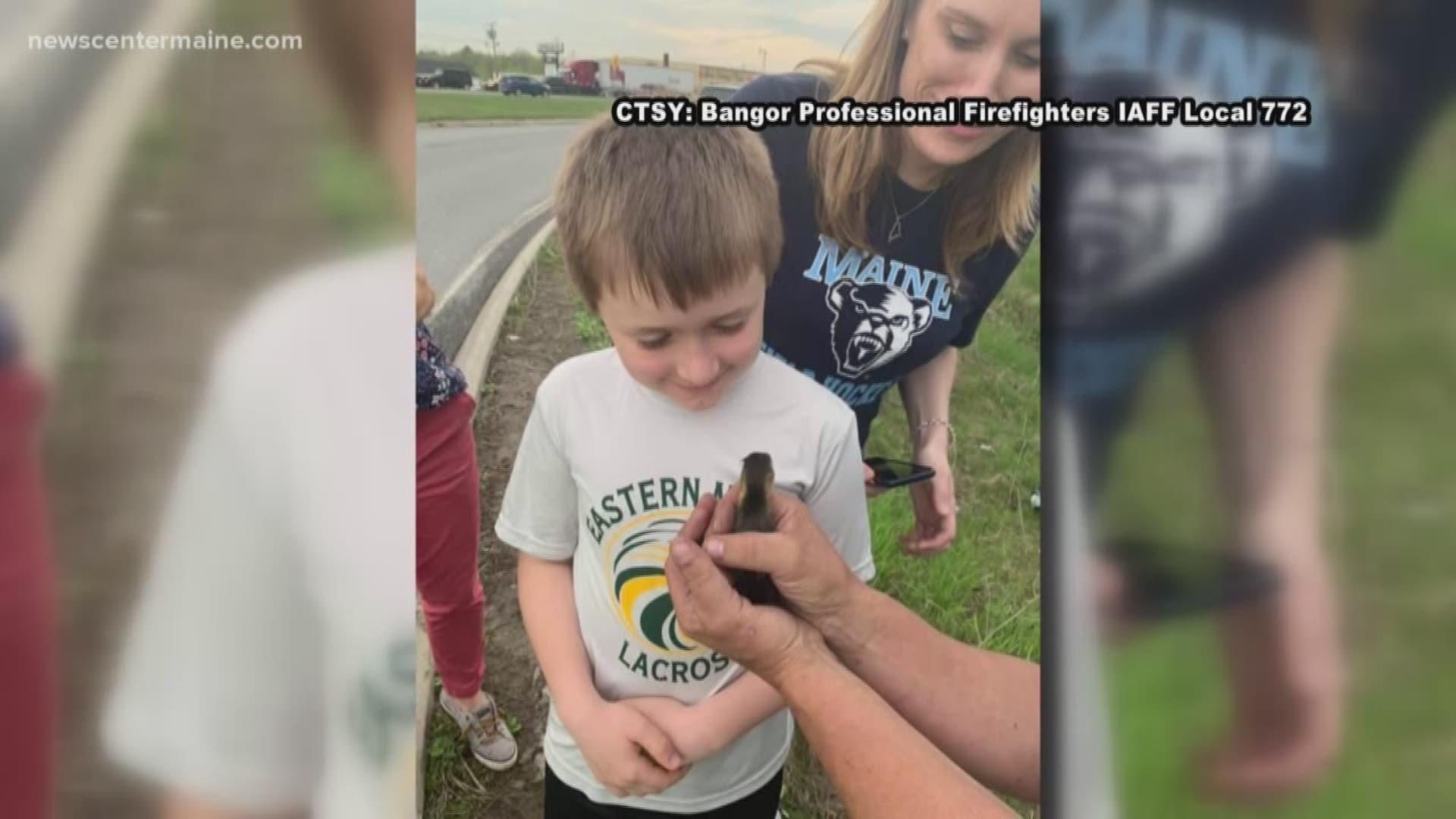 Bangor firefighters were called to perform a duck rescue when two ducklings fell into a storm drain. There is a happy ending. Thanks to the first responders the two baby ducks were reunited with their momma and the rest of their duck family.
