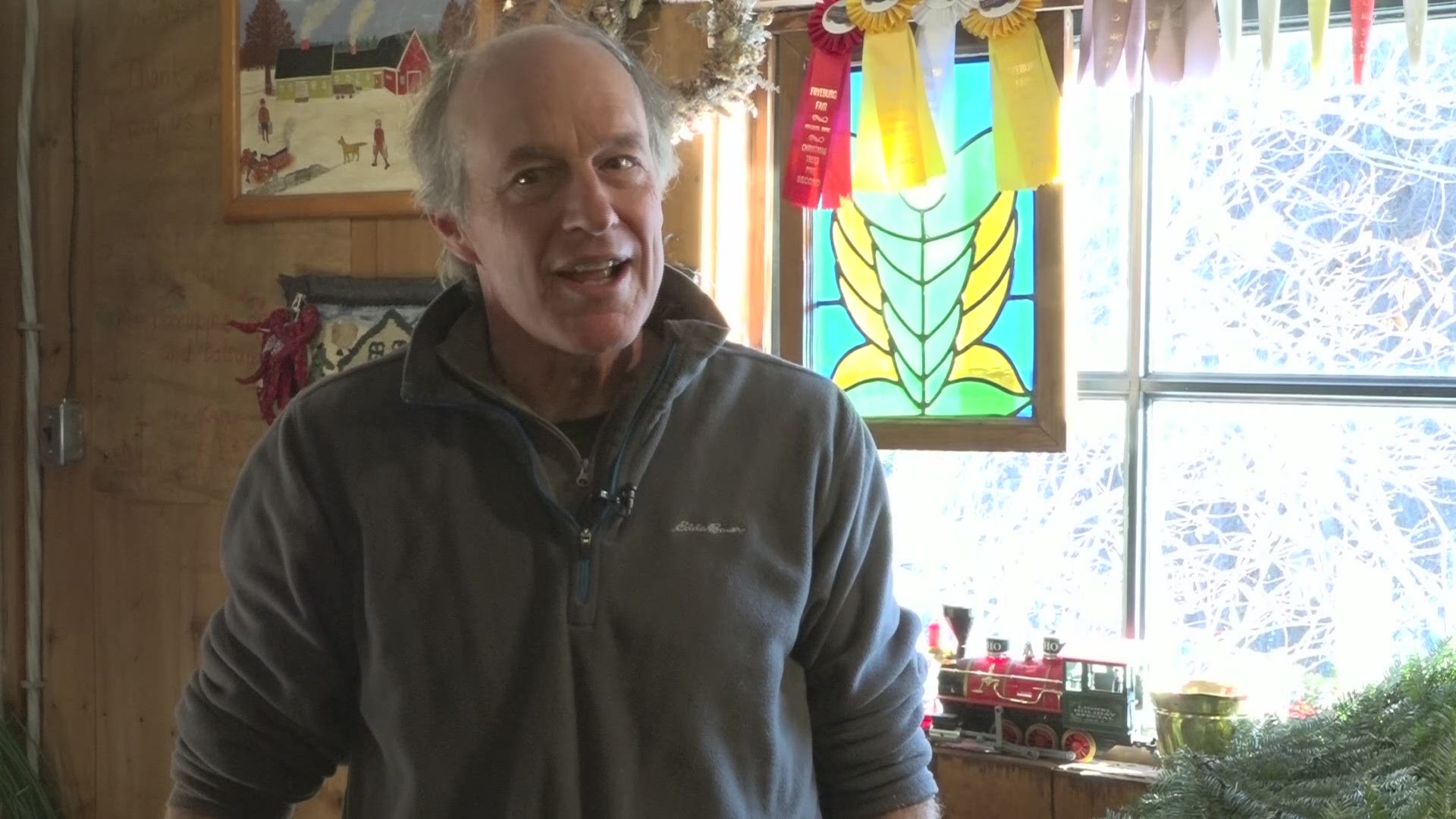 How business for Maine Christmas tree farmers is doing