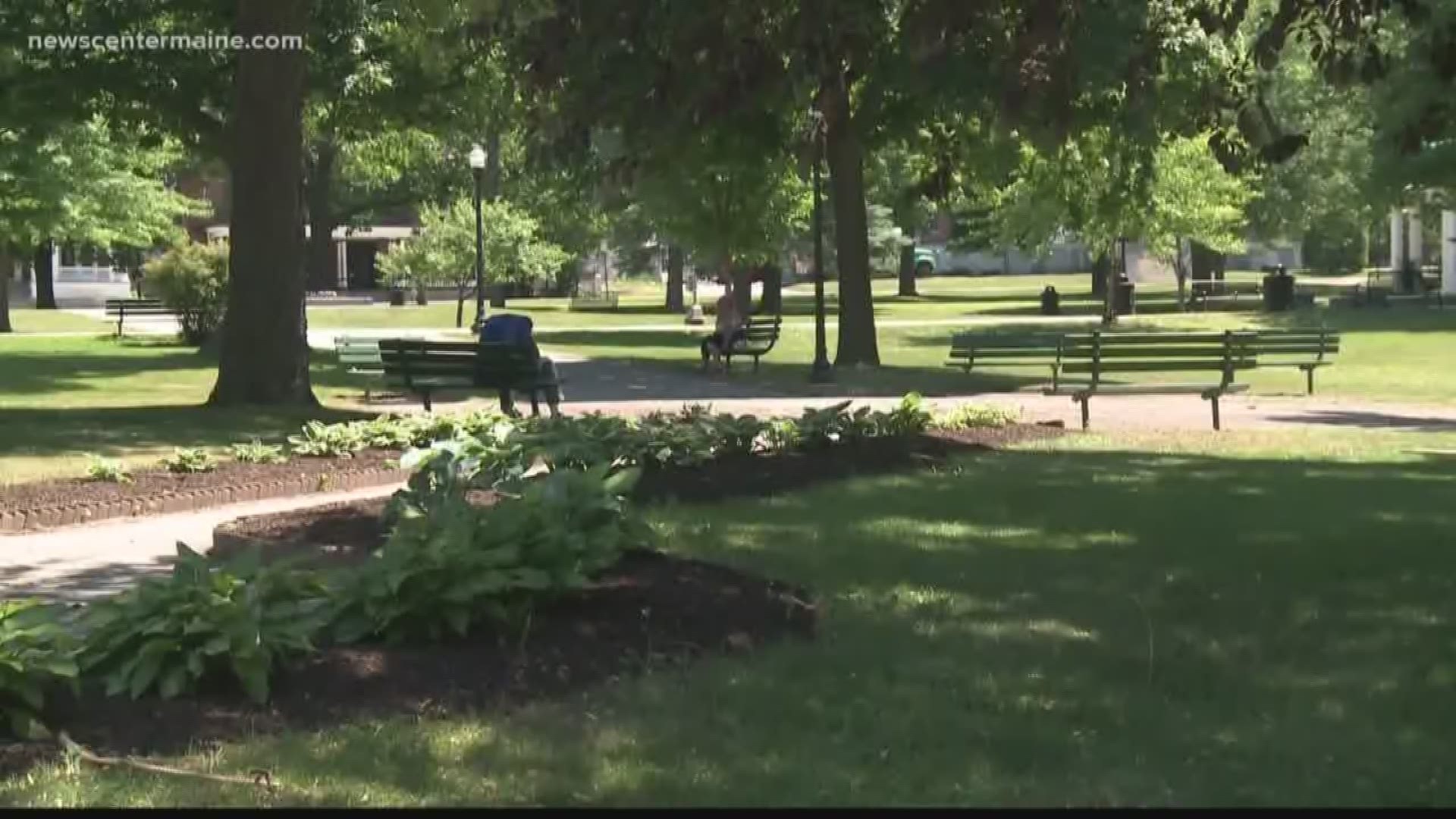 Handinhand, Lewiston unites across racial lines to denounce violence