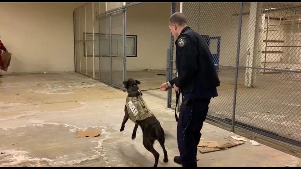 Maine State Police K9's vest means more than protection